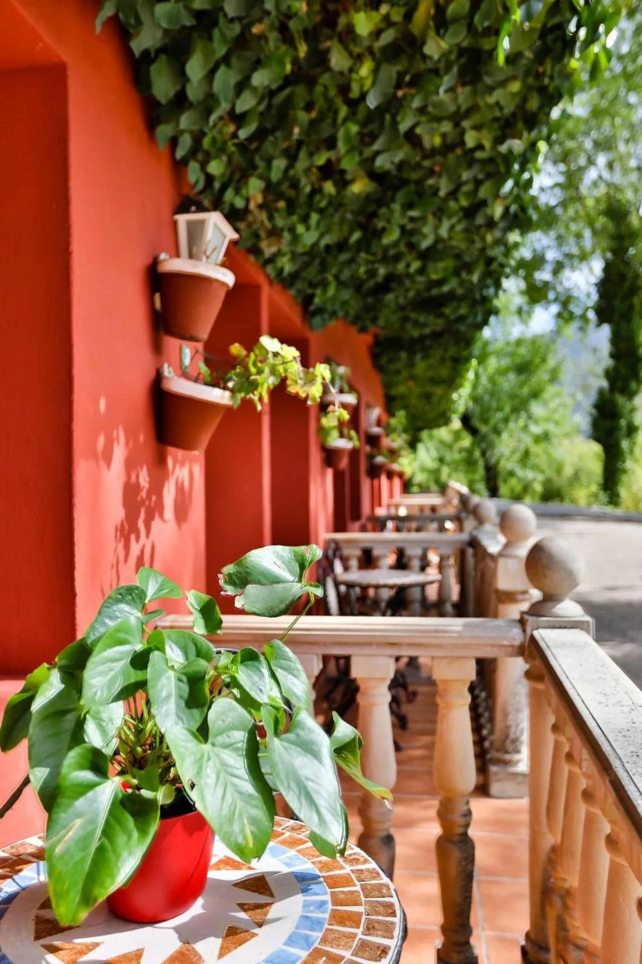 Garden in Hotel Rural Noguera de la Sierpe
