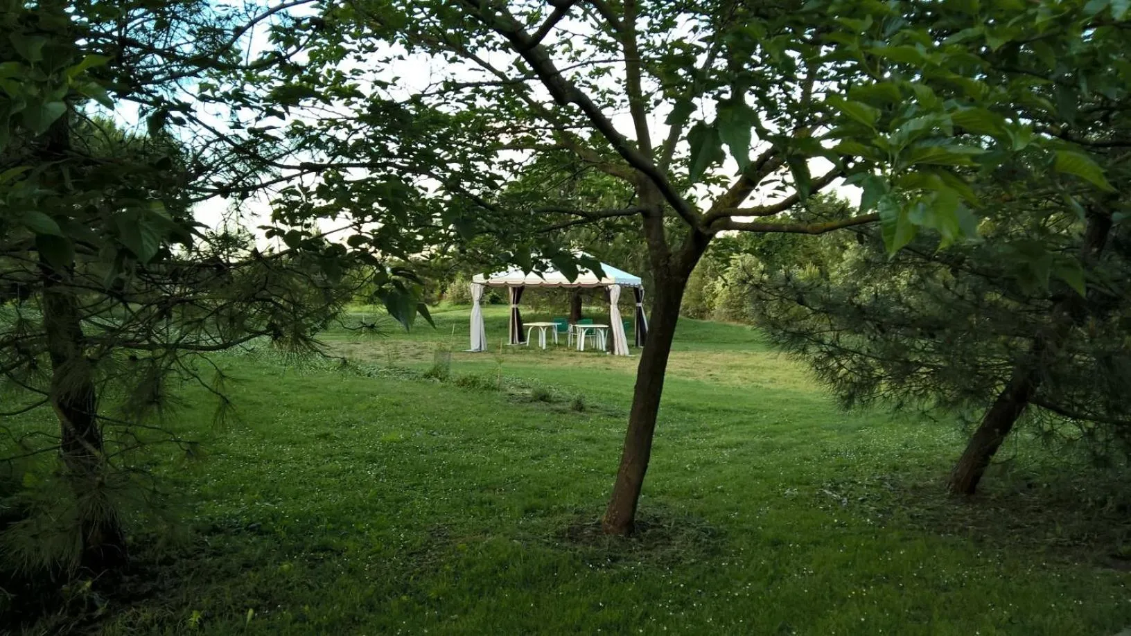 Garden in Rose Canine B&B