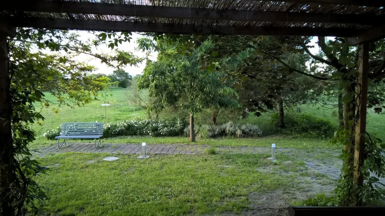 Garden in Rose Canine B&B