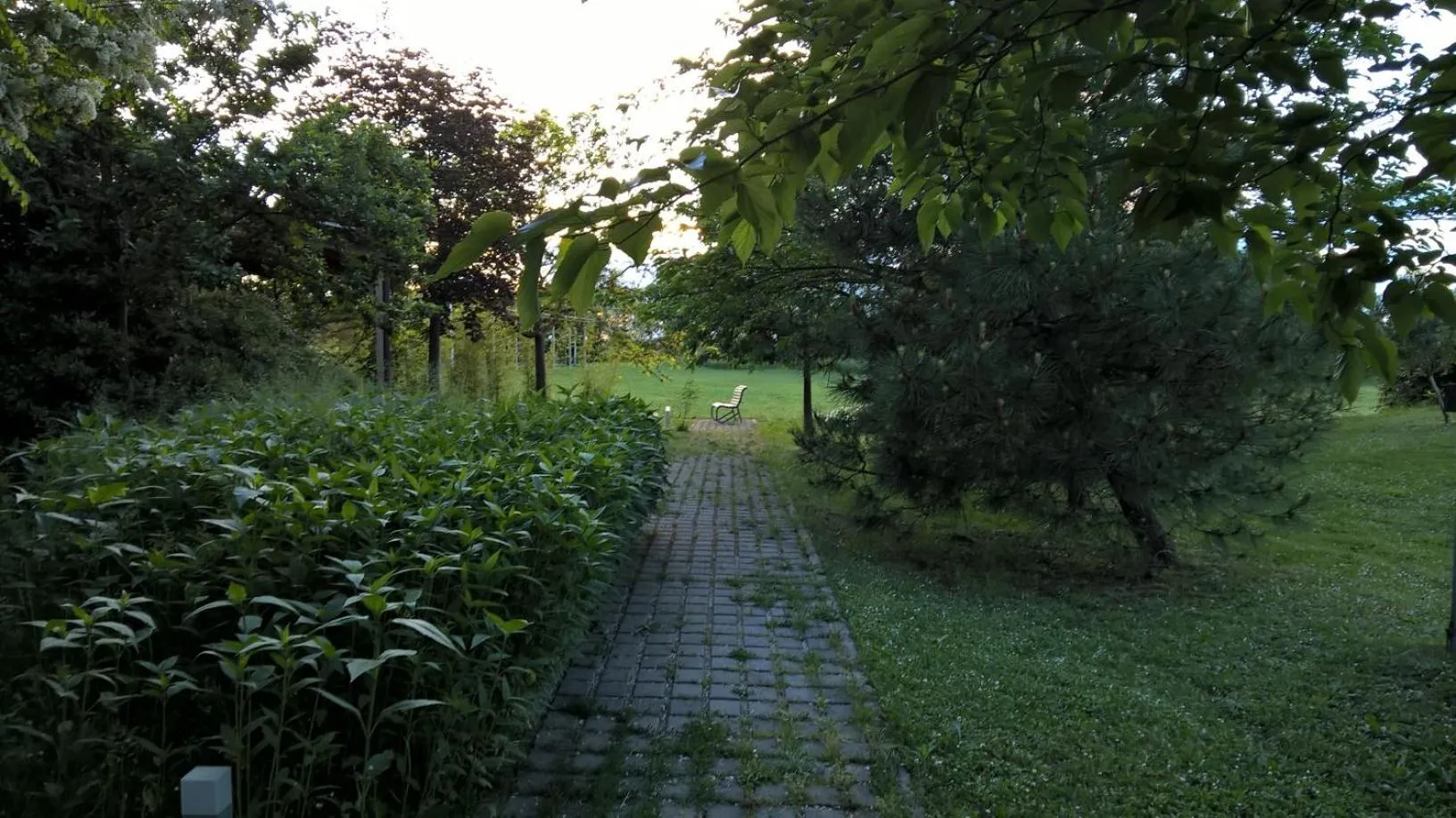 Garden in Rose Canine B&B