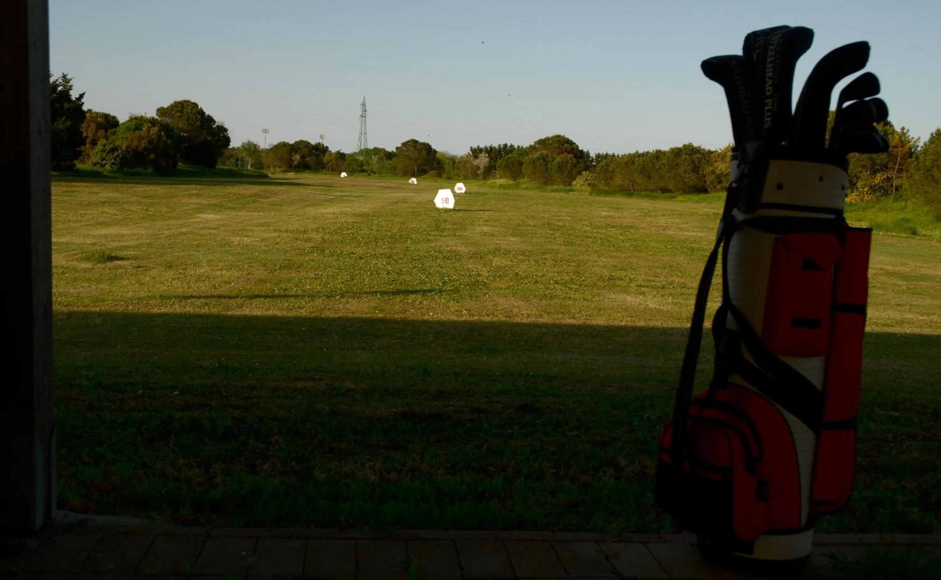 Garden in Rose Canine B&B
