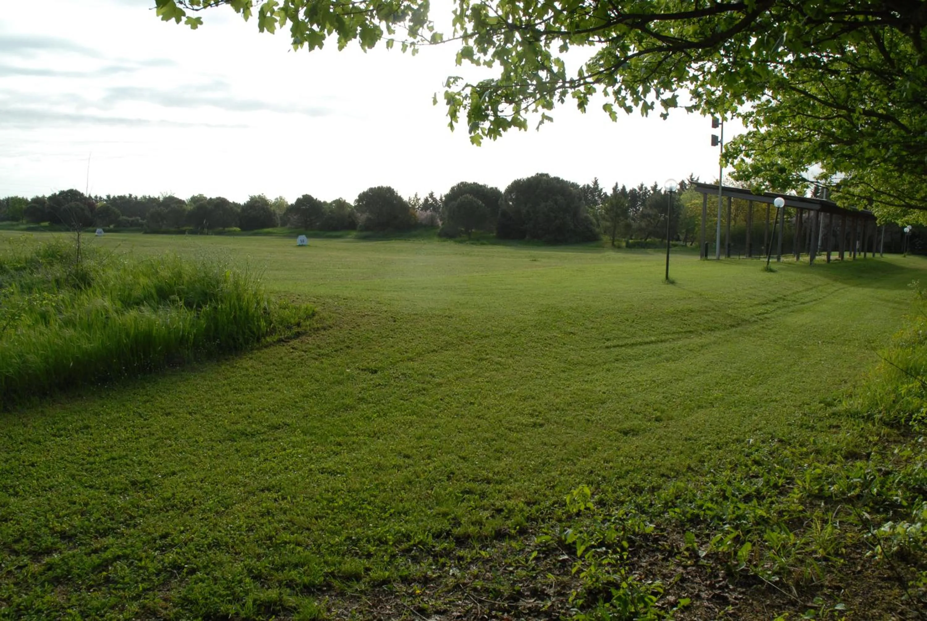 Garden in Rose Canine B&B