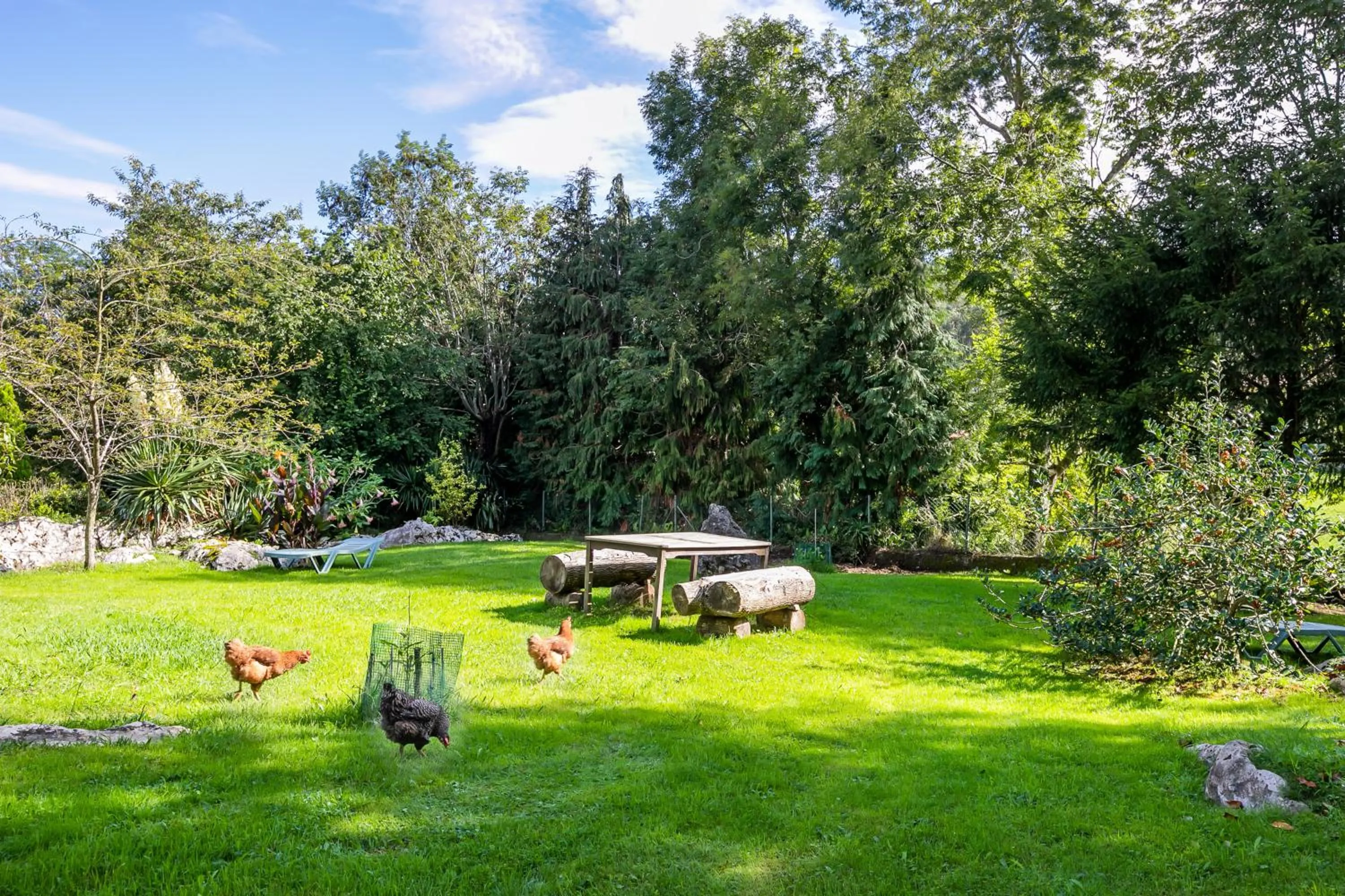 Garden in Amaicha Hotel Rural