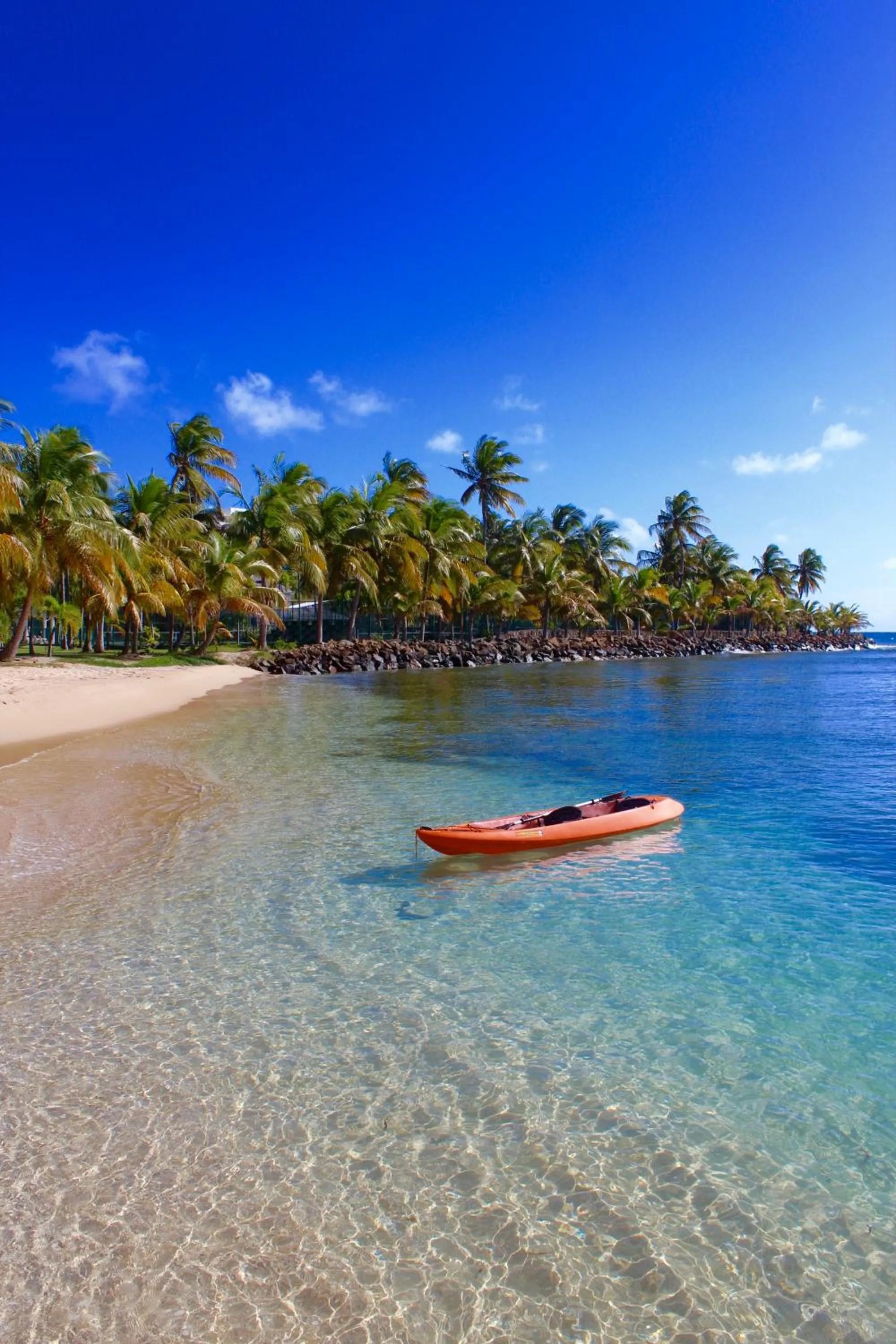 Beach in Curtain Bluff - All Inclusive