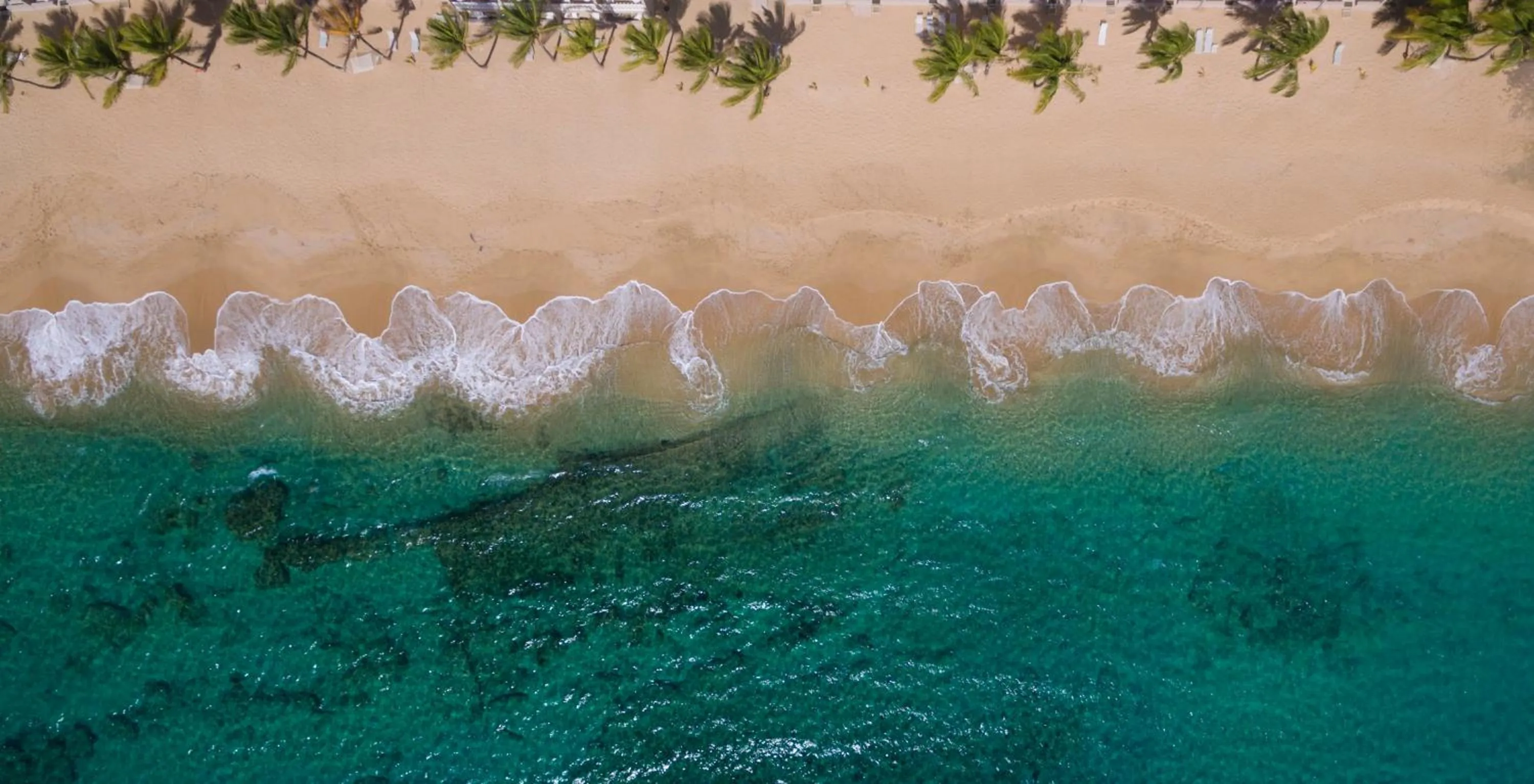 Natural landscape in Curtain Bluff - All Inclusive