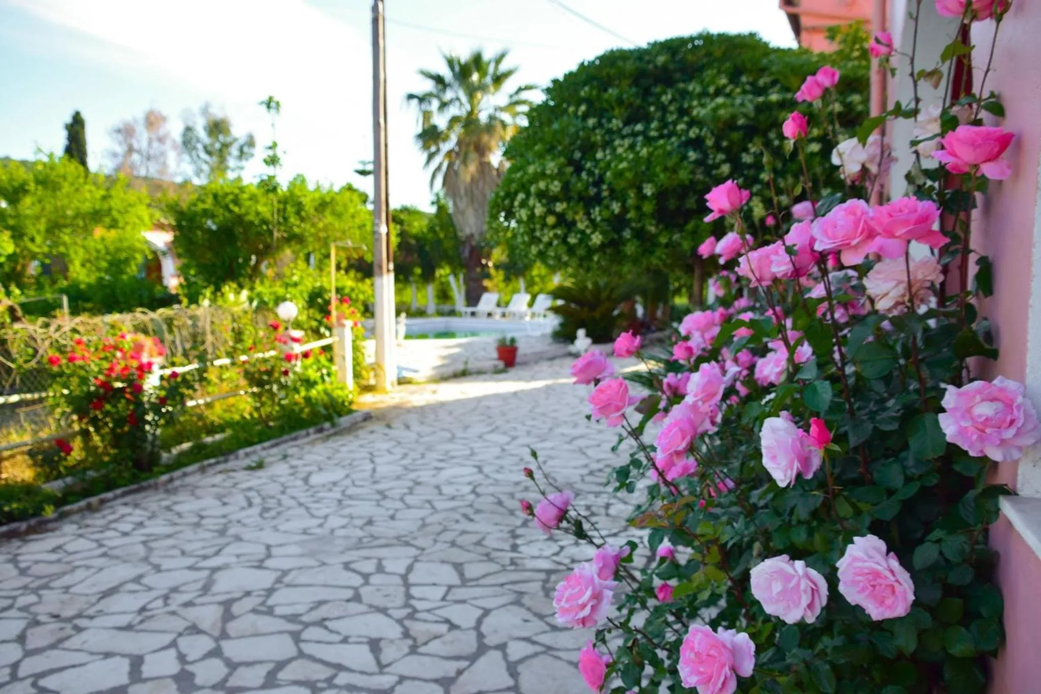 Garden in Villa Valia