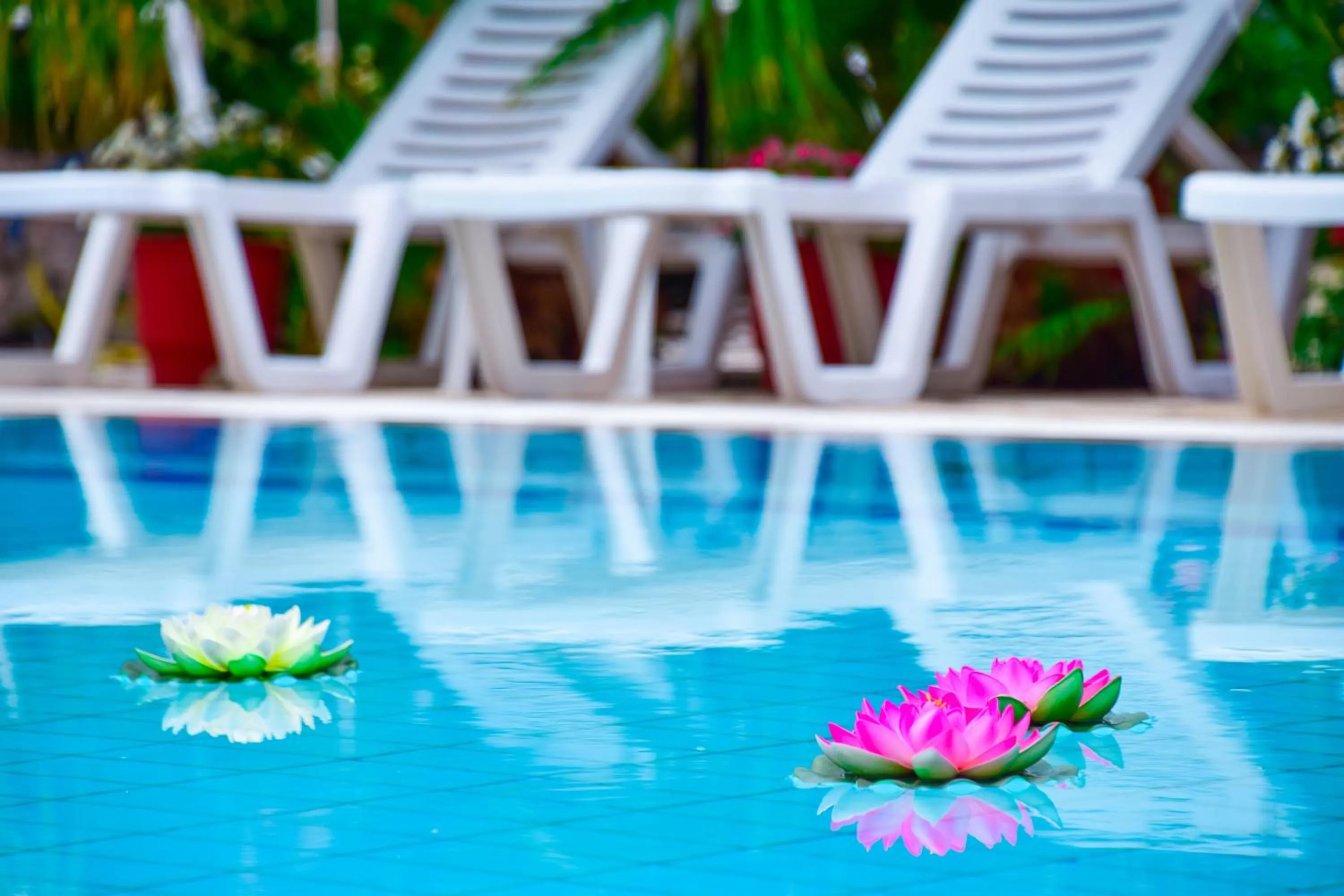 Swimming pool in Villa Valia