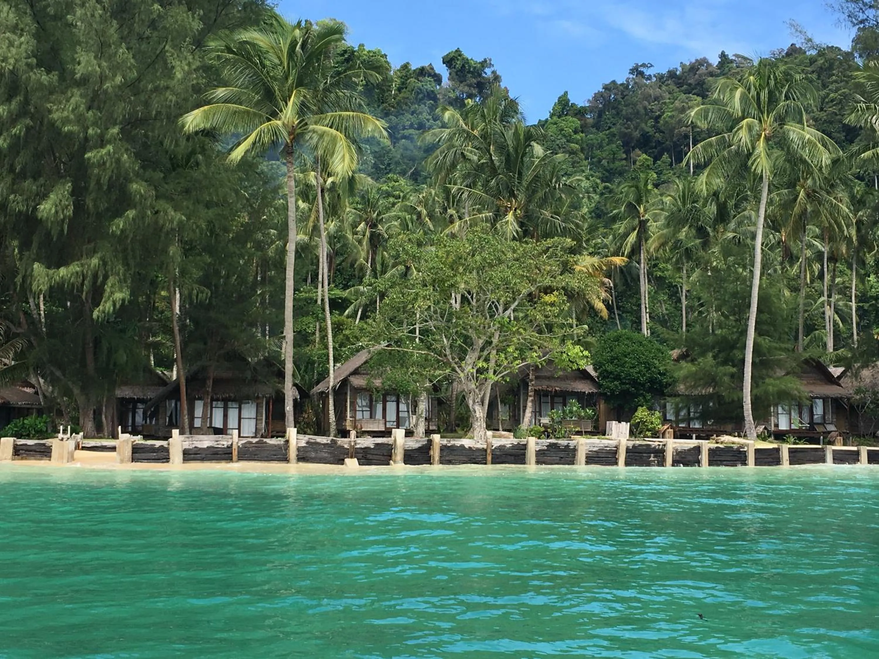 Natural landscape in Coco Cottage