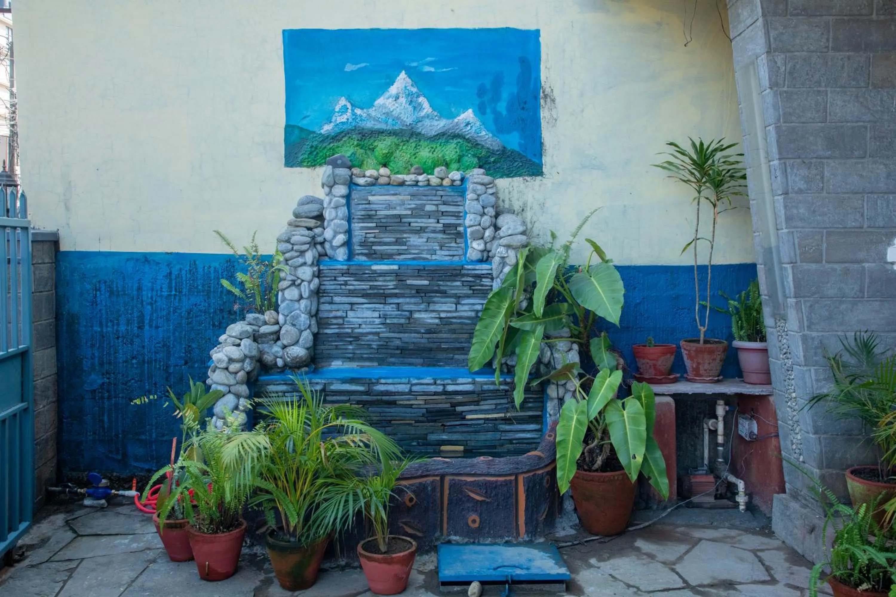 Garden in Hotel Bougainvillea