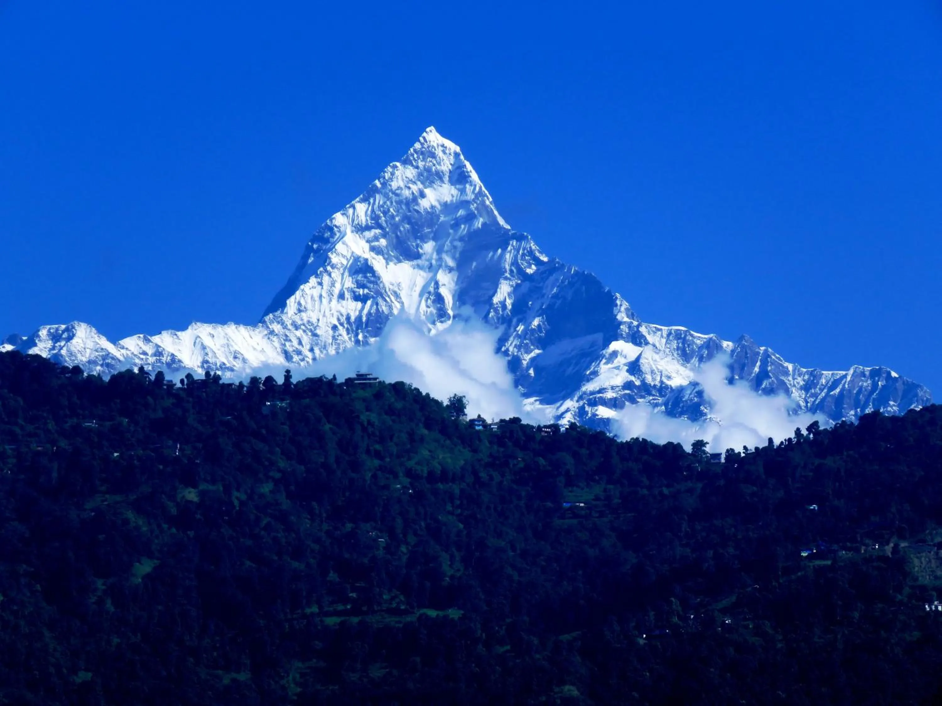 Natural landscape in Hotel Bougainvillea