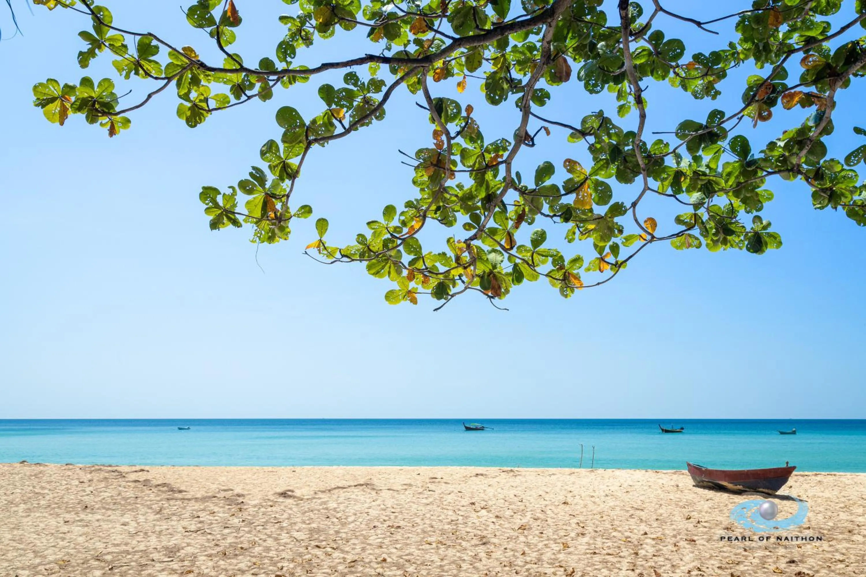 Day in Pearl of Naithon