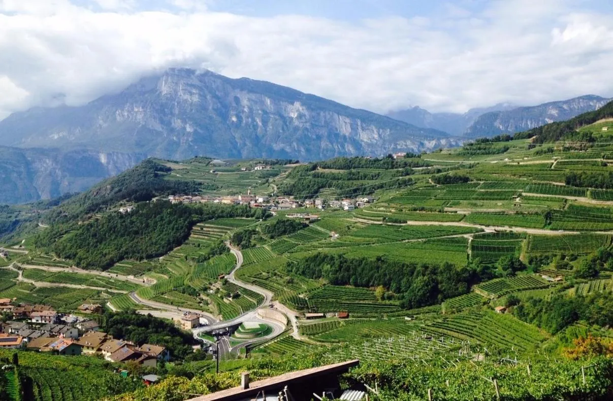 Bird's eye view in B&B San Valentino