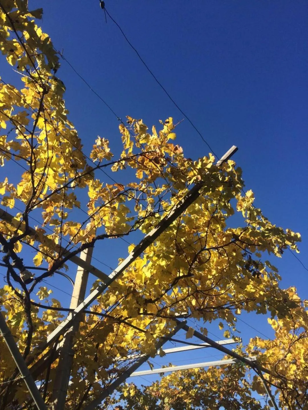 Natural landscape in B&B San Valentino