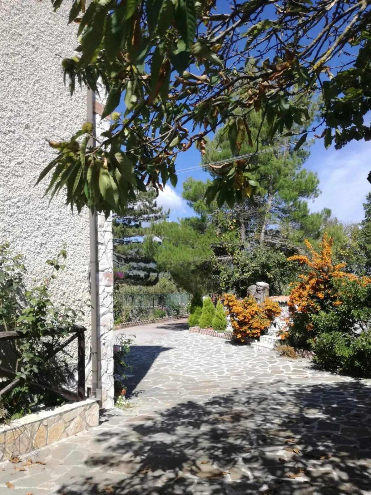 Property building in B&B NEL VERDE