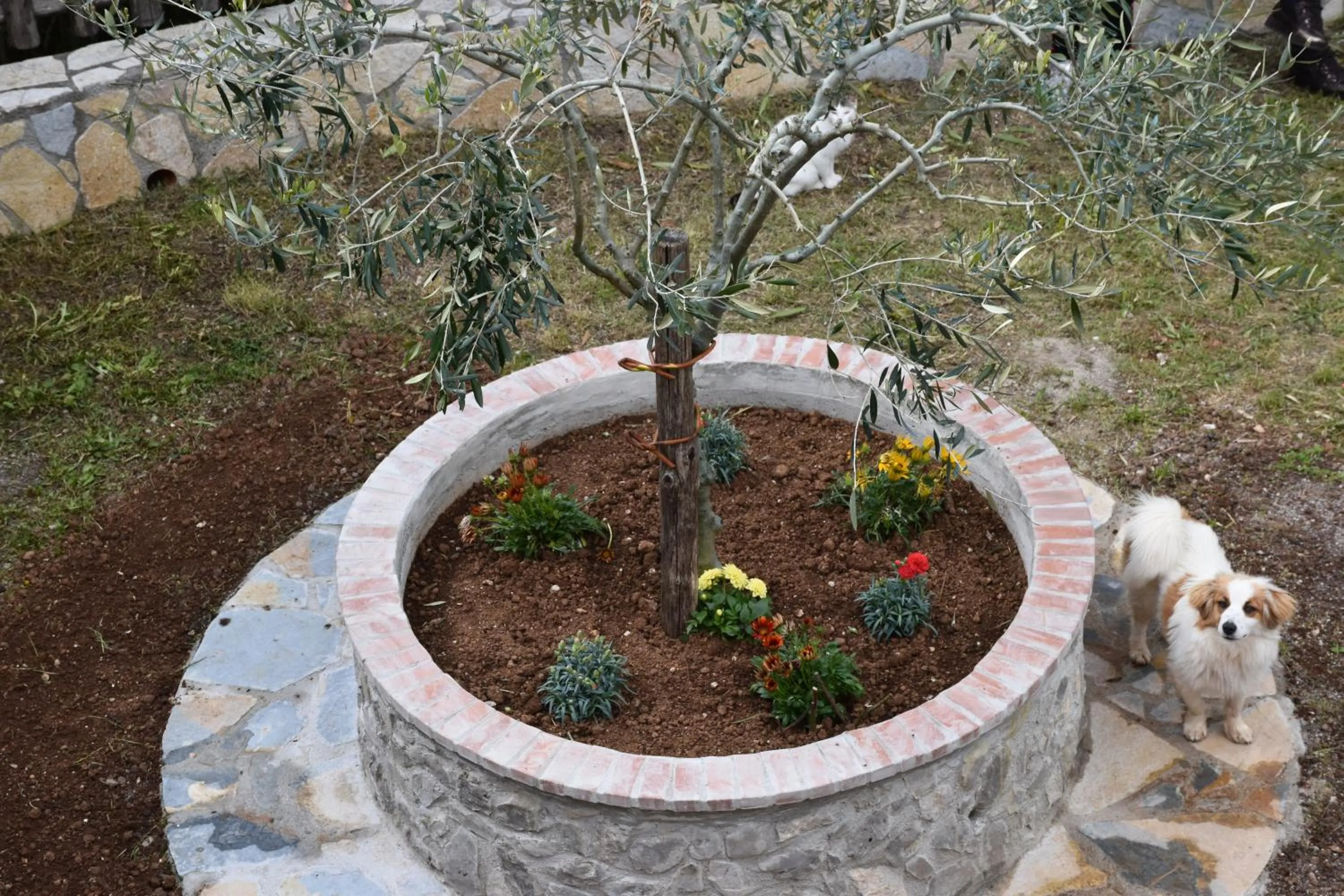 Garden view in B&B NEL VERDE
