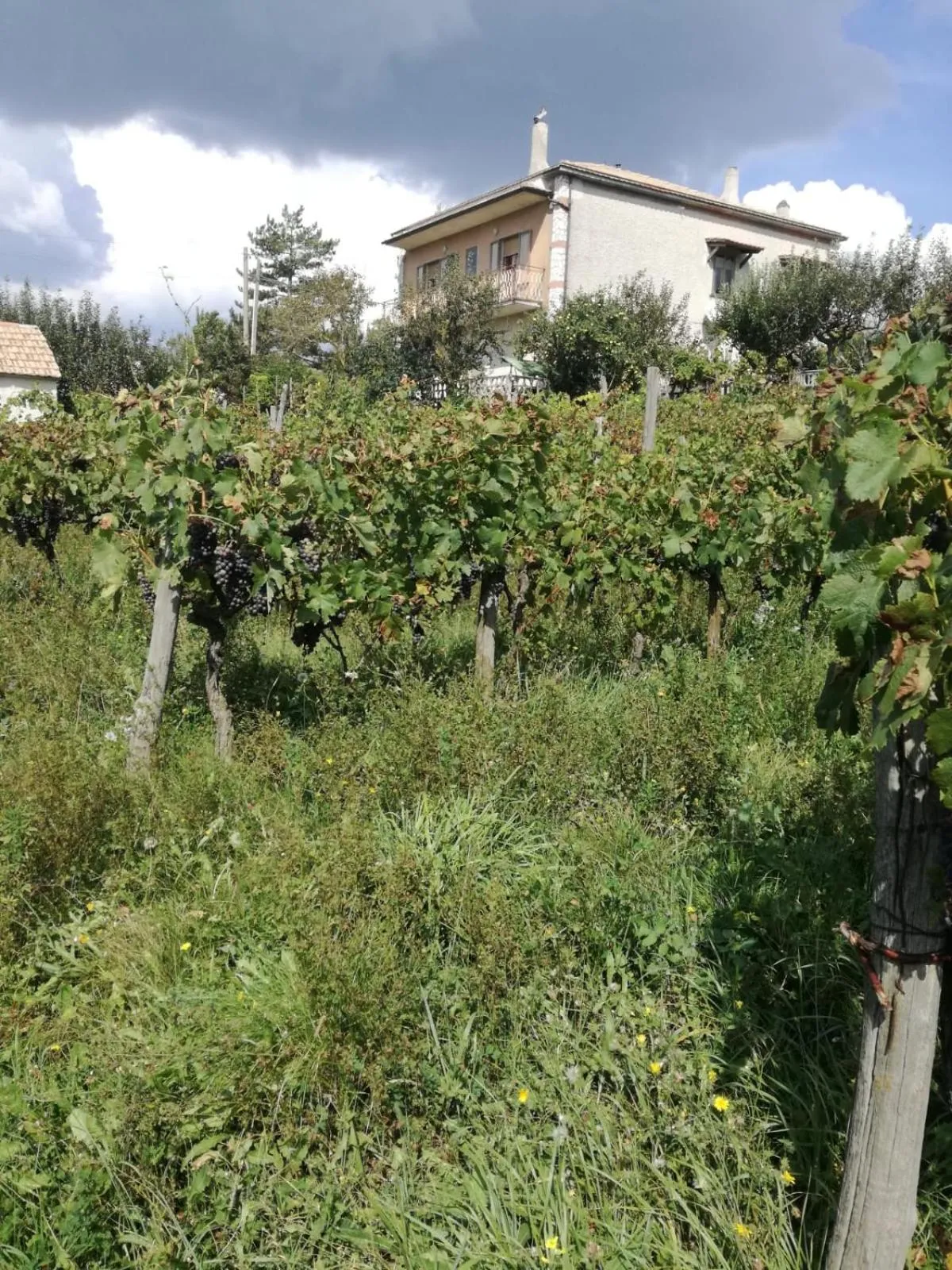 Property building in B&B NEL VERDE