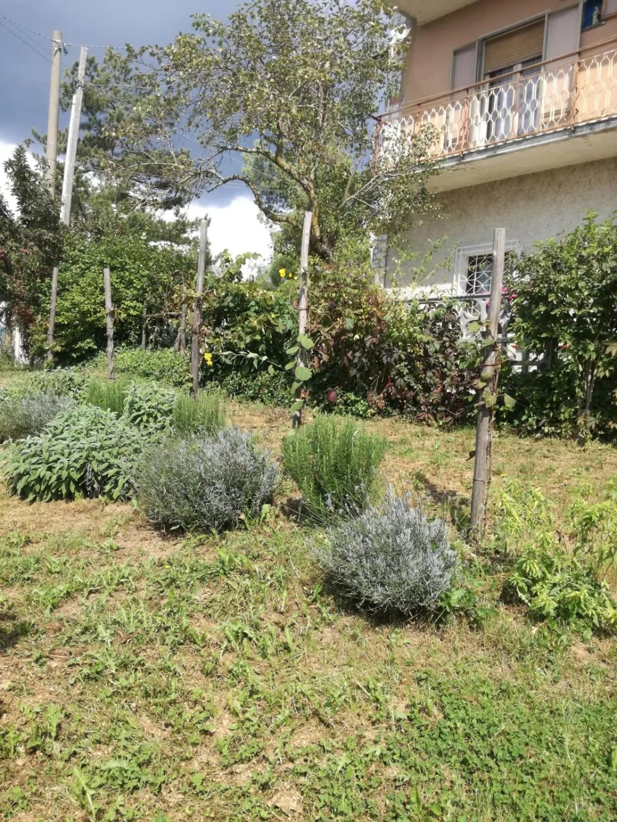 Garden in B&B NEL VERDE