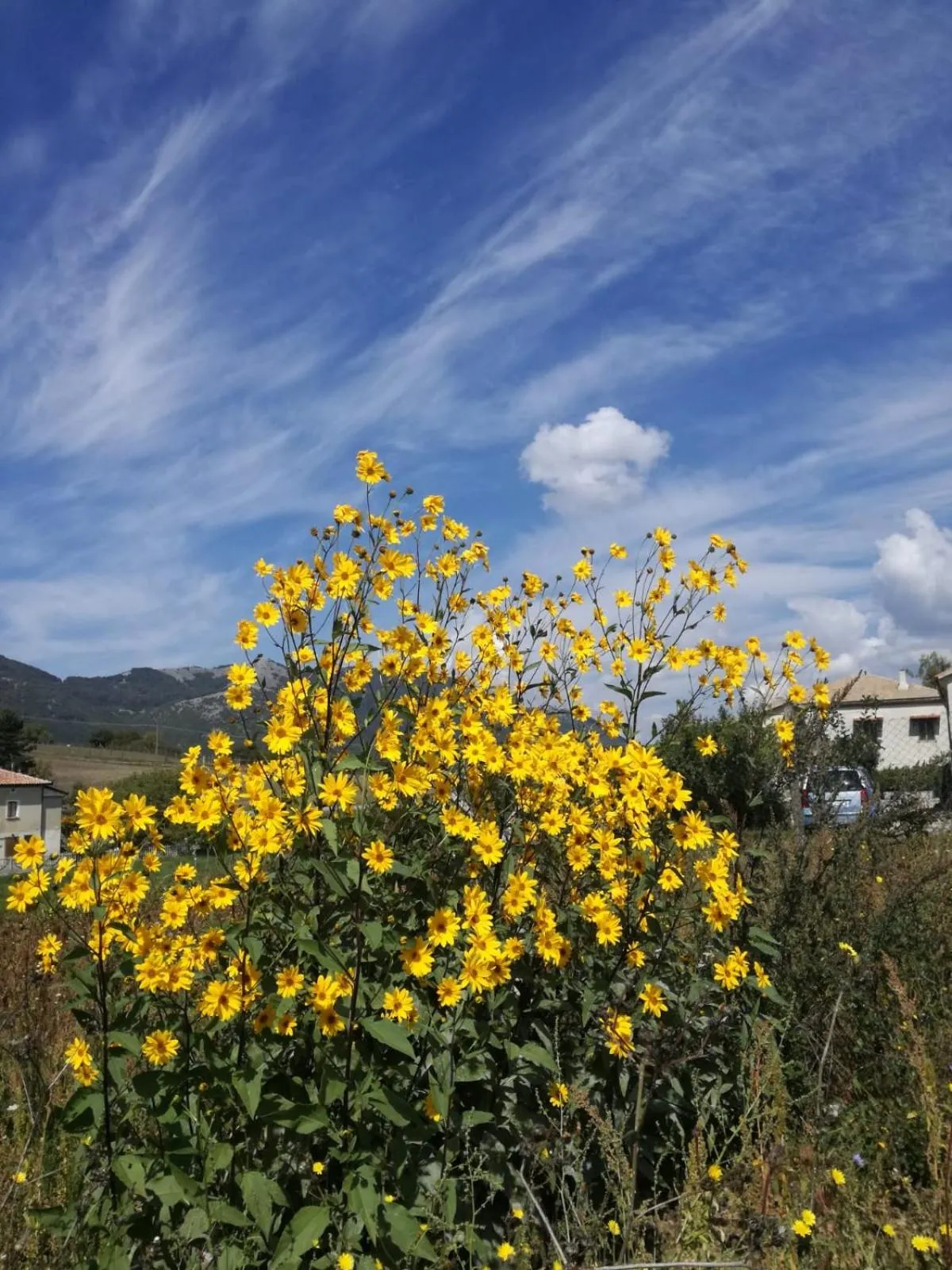 Natural landscape in B&B NEL VERDE