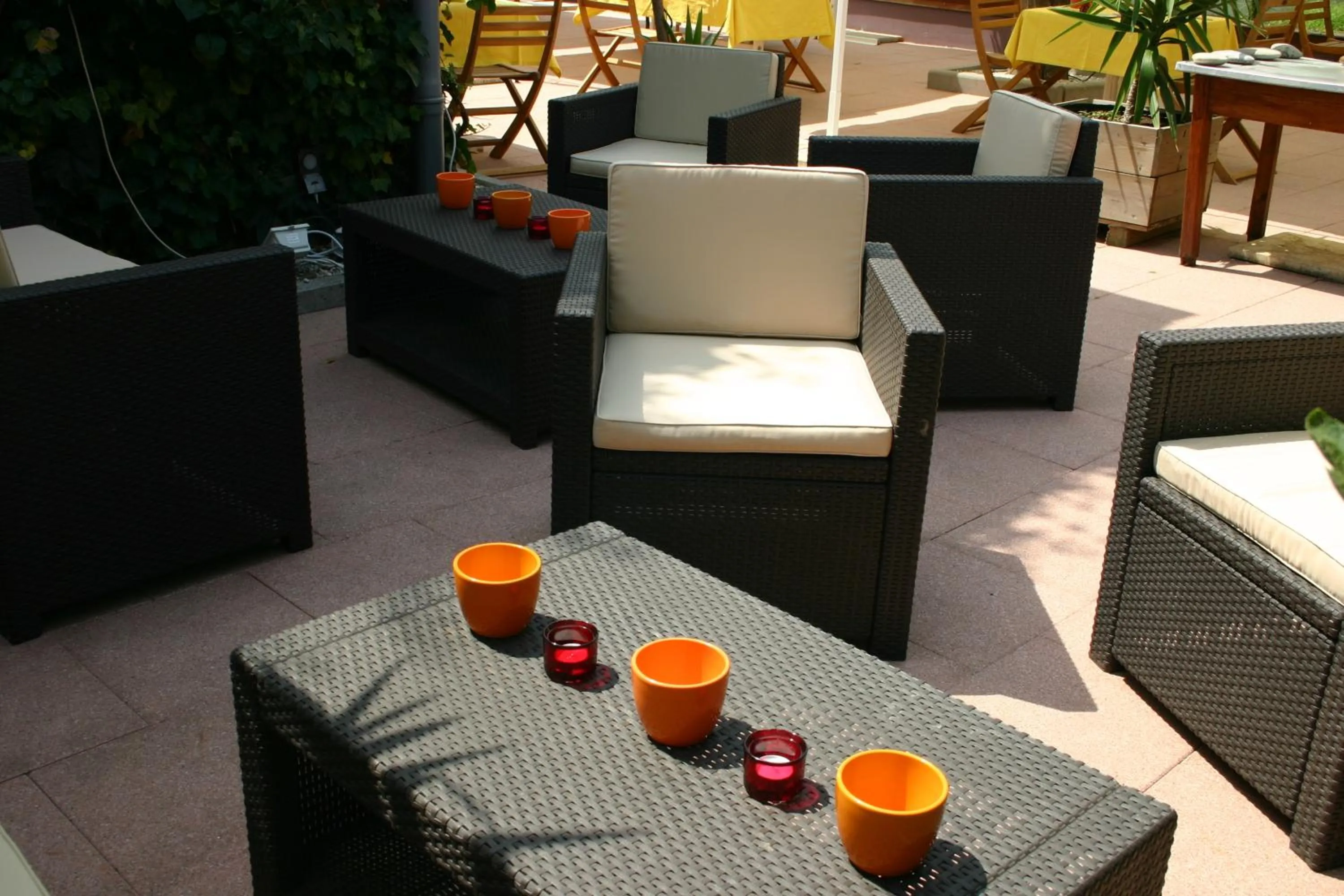 Garden in Hôtel Restaurant Logis La Palette