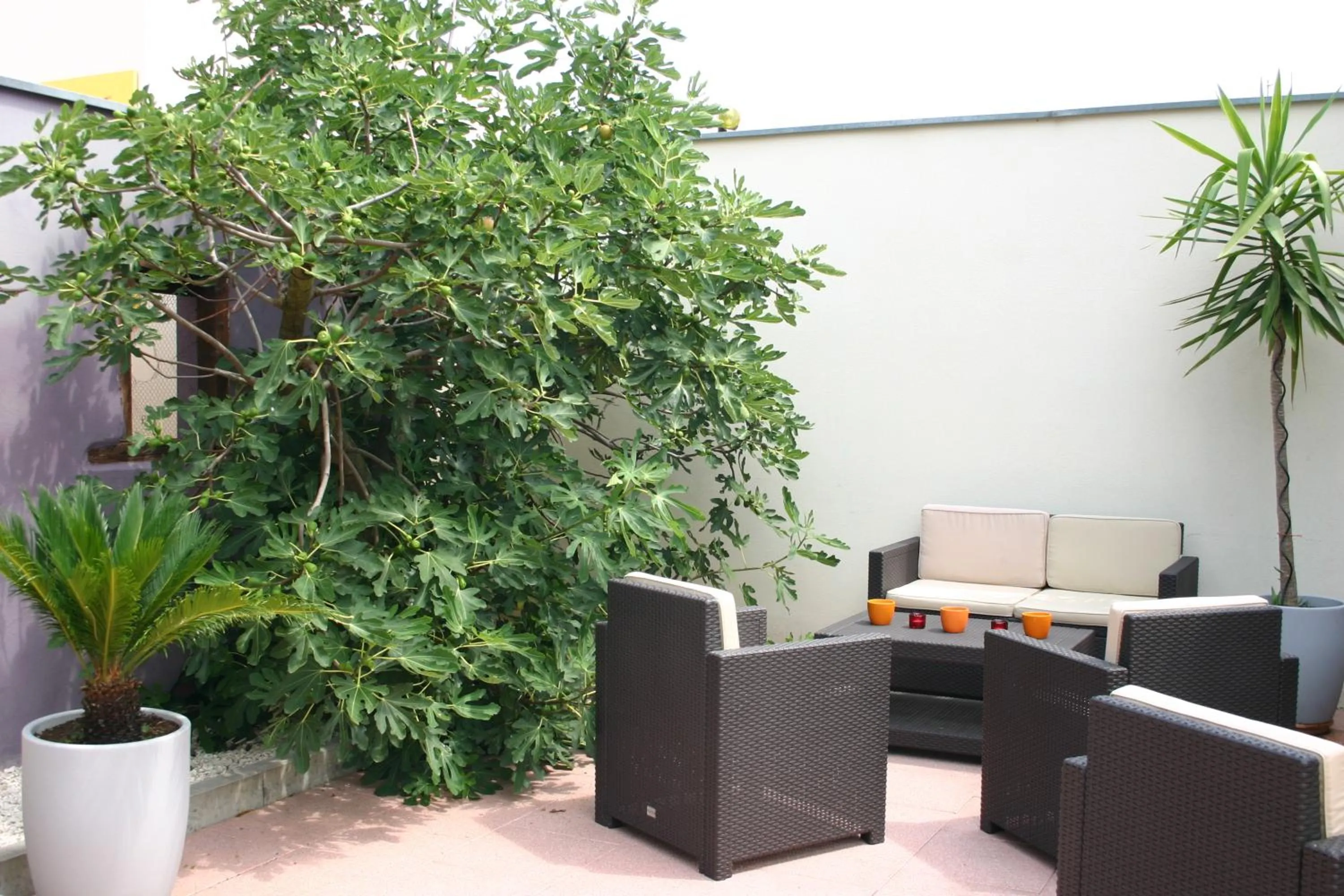 Garden in Hôtel Restaurant Logis La Palette