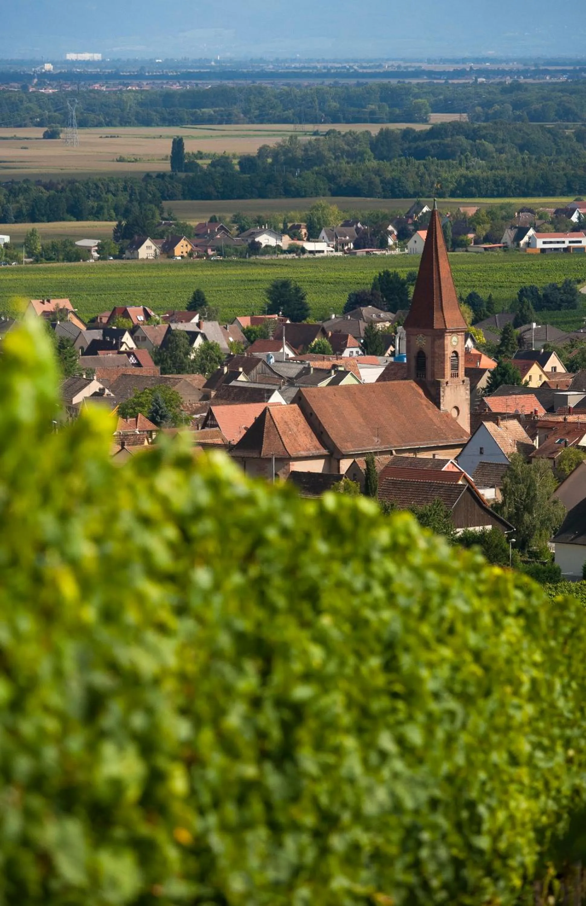 Area and facilities in Hôtel Restaurant Logis La Palette