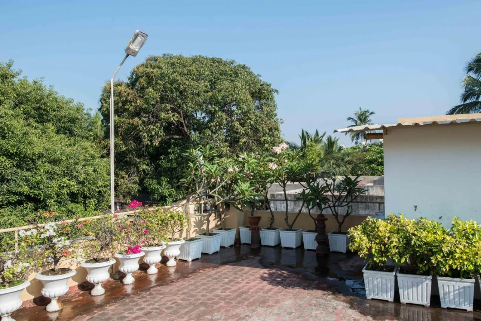Garden in Hanu Reddy Residences Wallace Garden