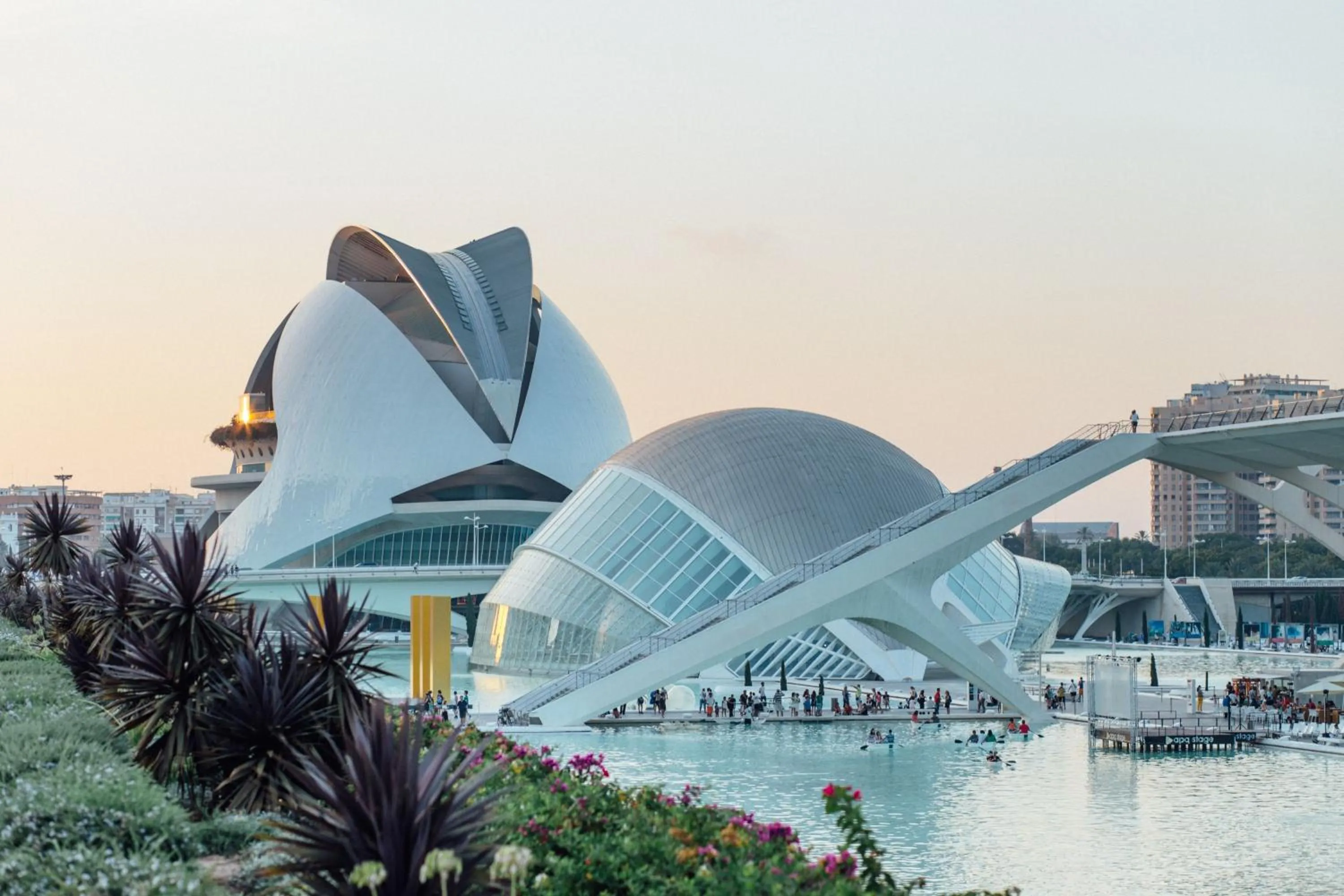 Activities in Hotel Malcom and Barret