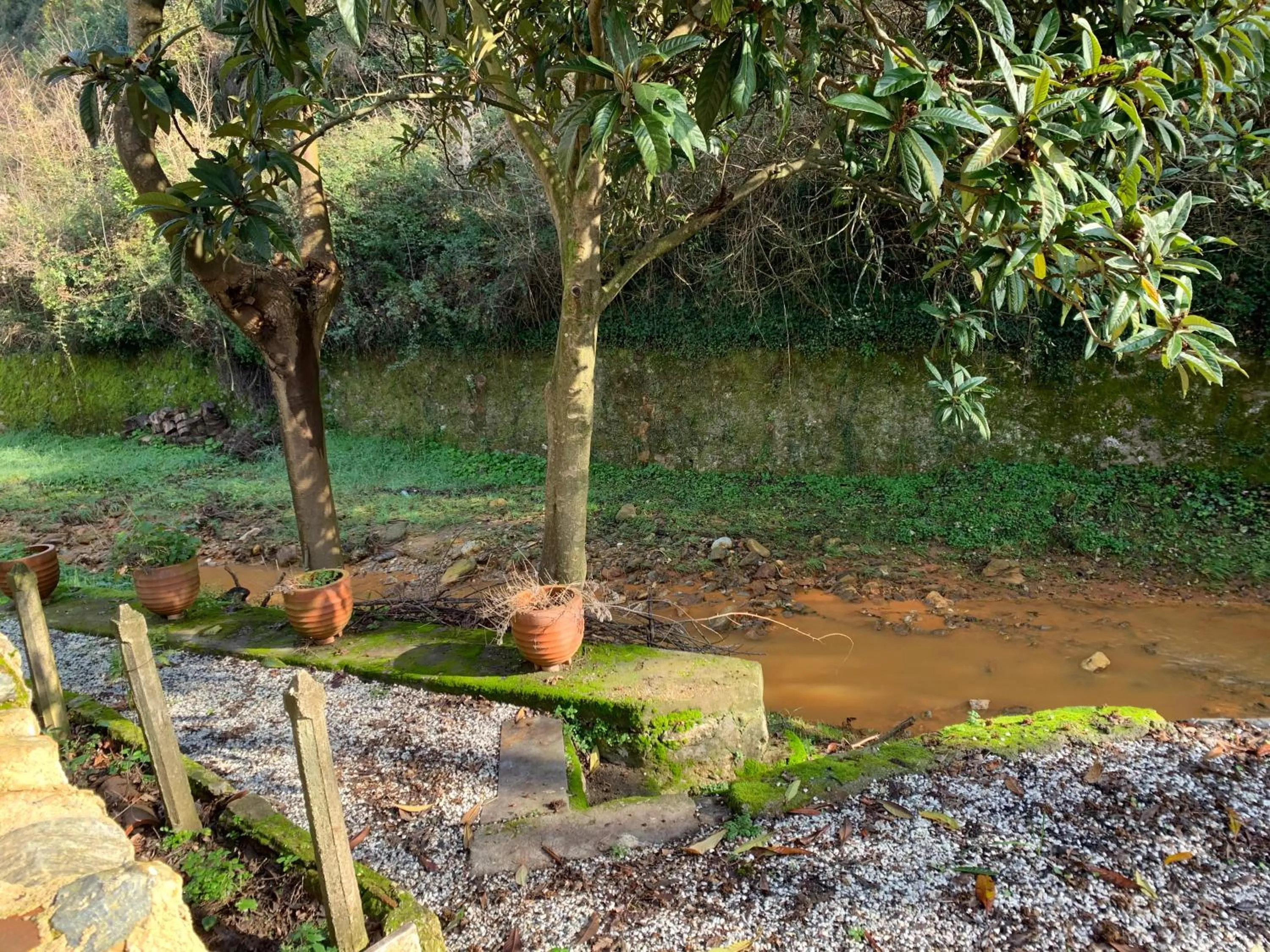 Natural landscape in Dimora Carducci