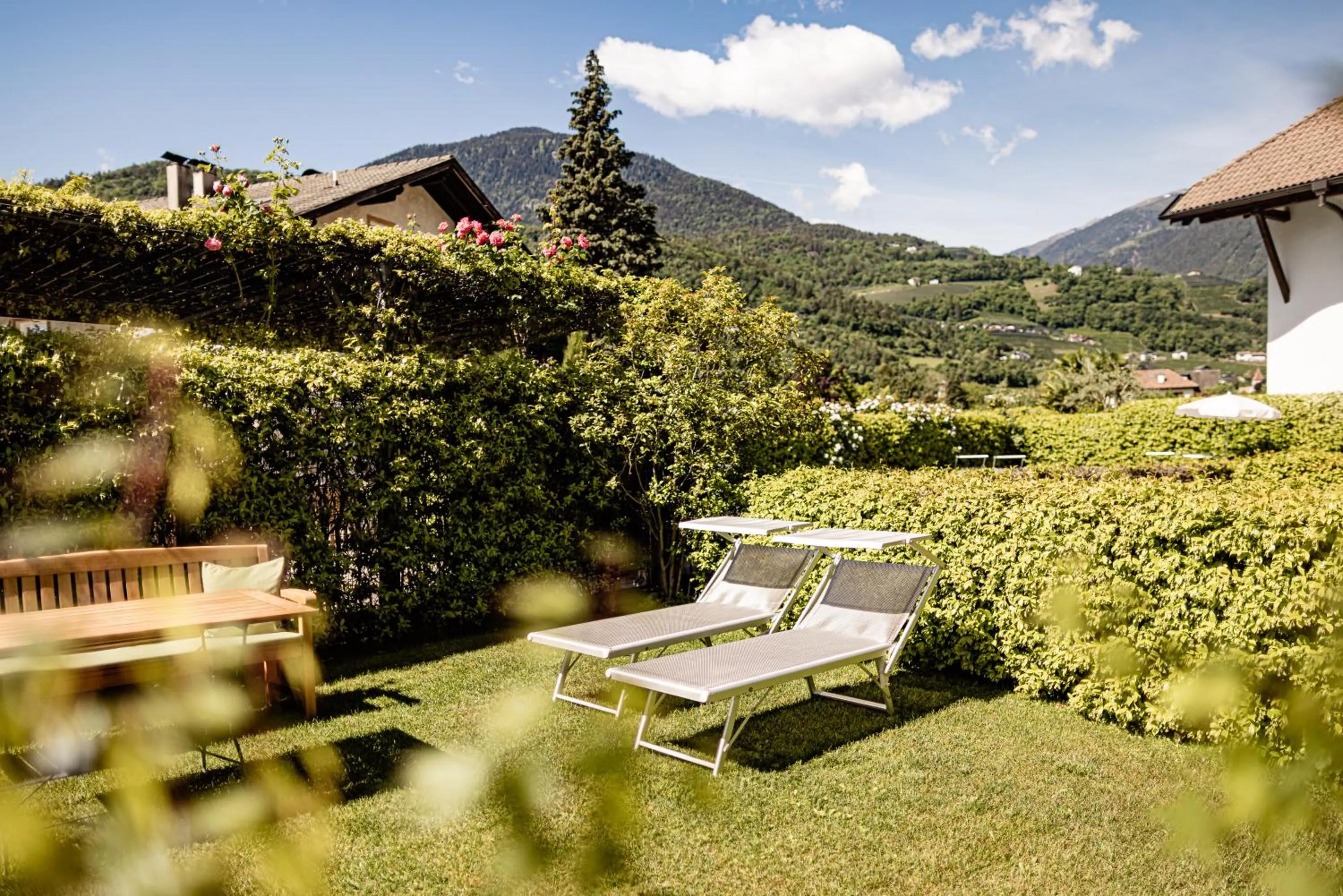 Garden in Garden Residence