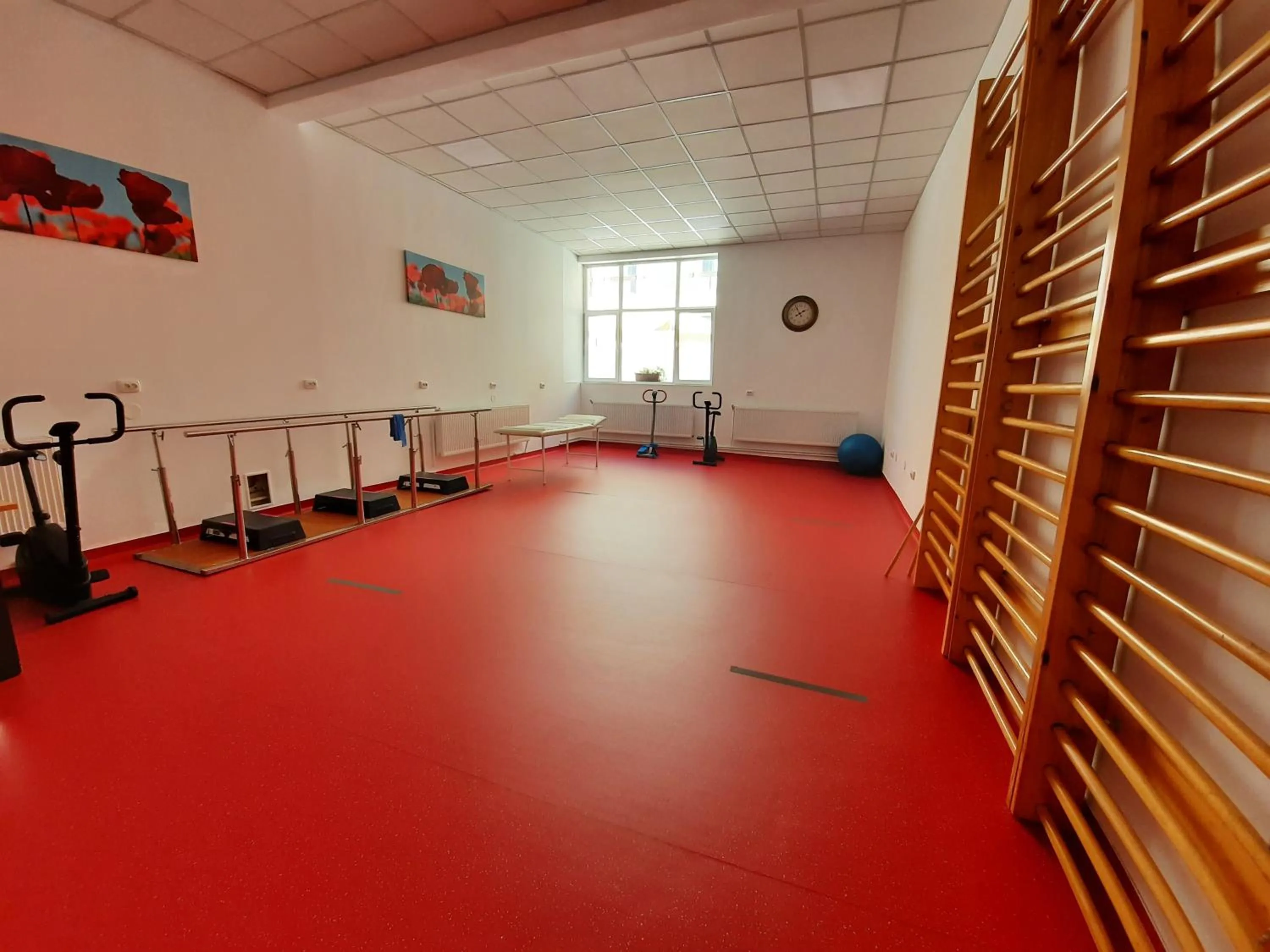 Fitness centre/facilities in Complex Balnear Cerbul