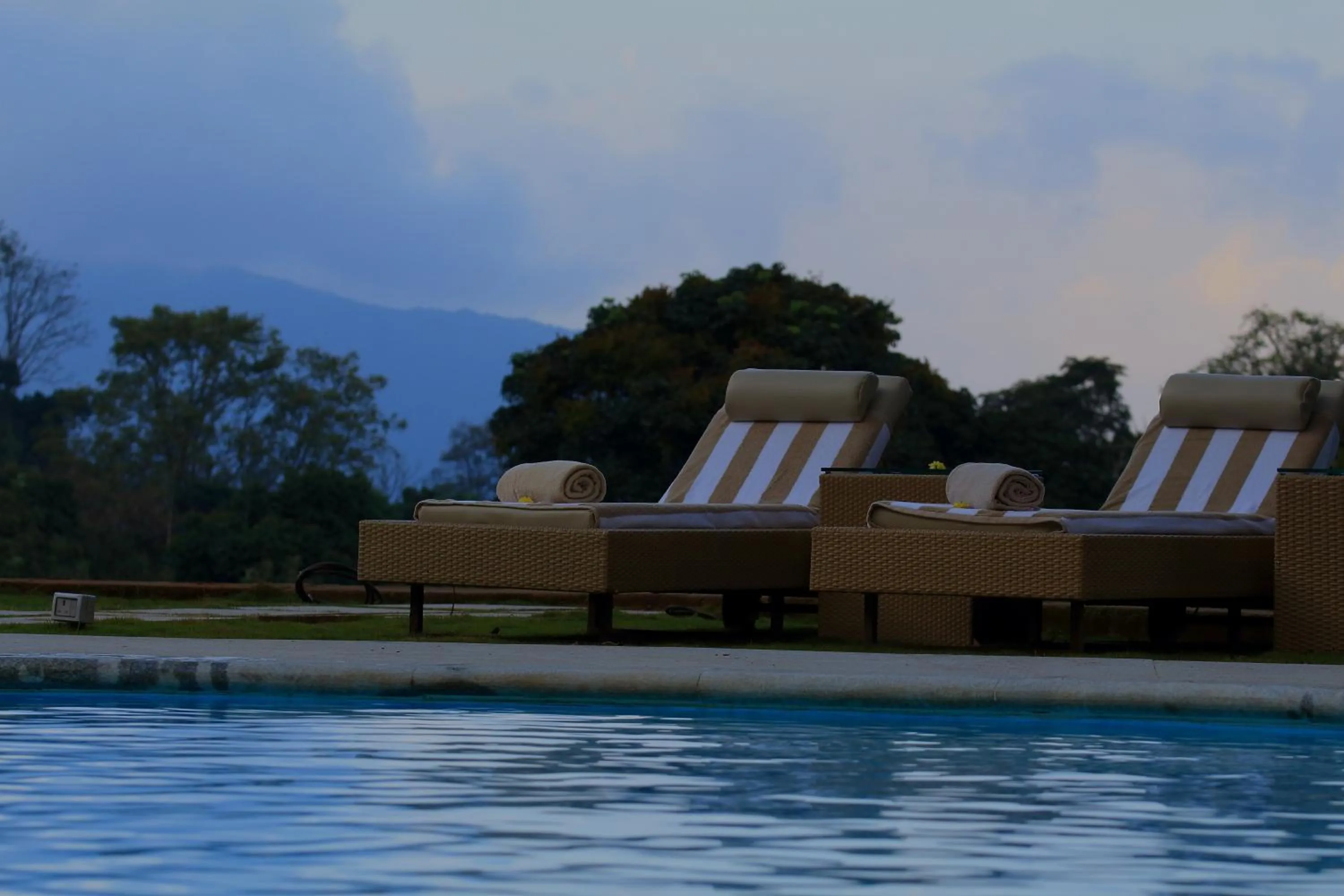 Swimming pool in The Tamara Coorg