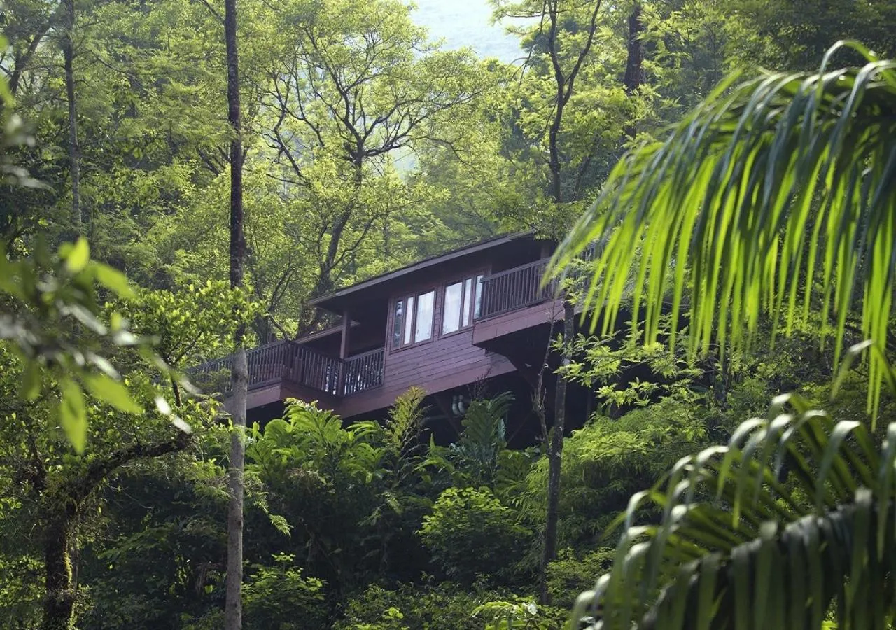 Property building in The Tamara Coorg