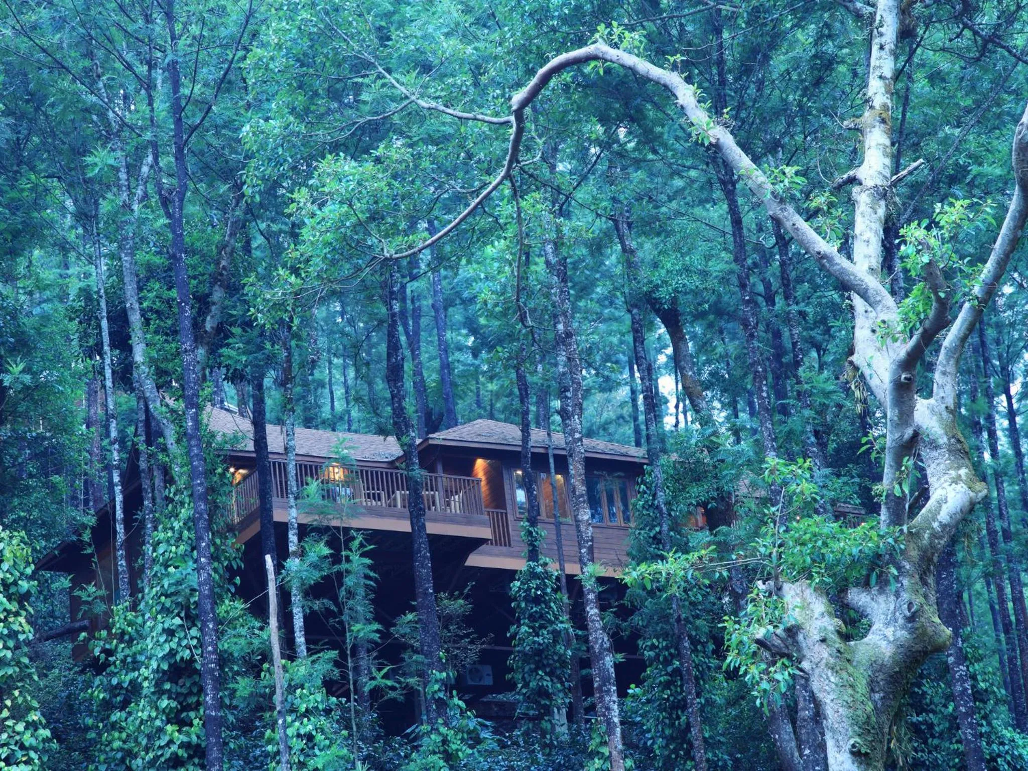 Facade/entrance in The Tamara Coorg