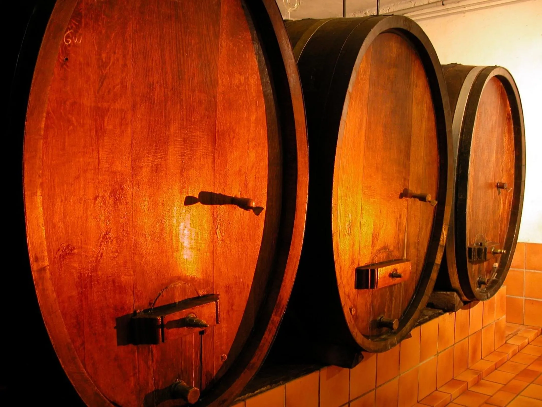 La maison du Vignoble