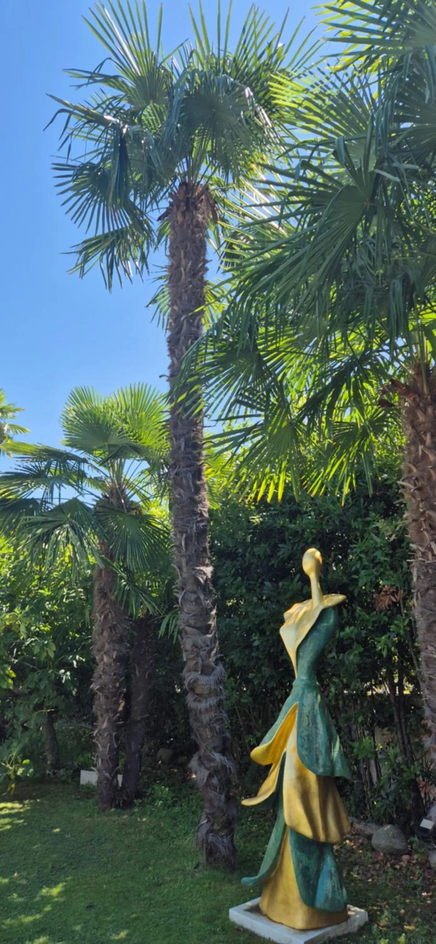 Garden view in Hotel Tiziana