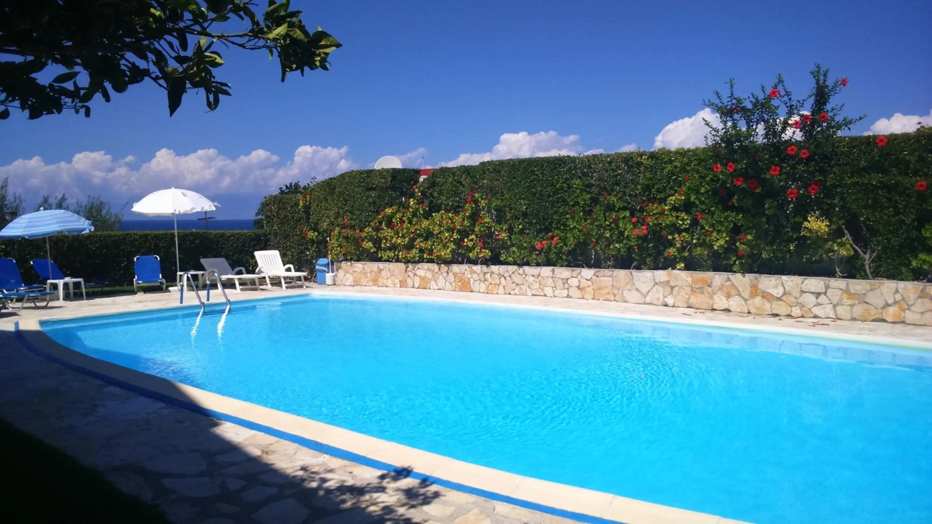 Swimming pool in Irene Apartments