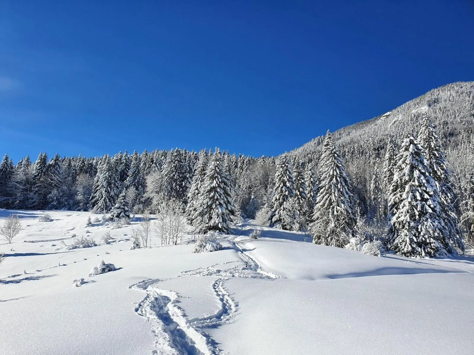 Natural landscape in Le Valombré