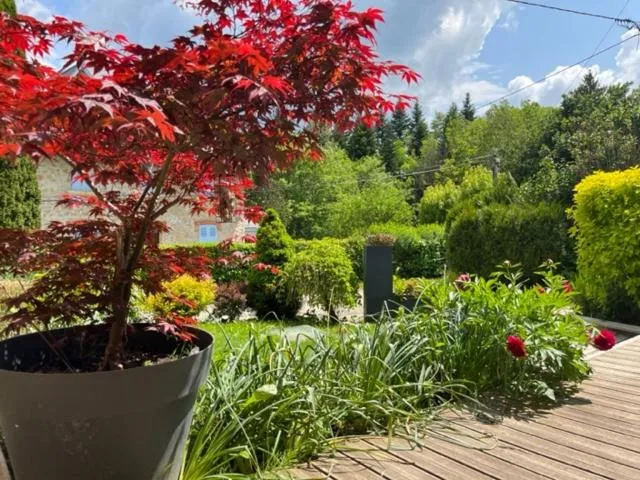 Garden in Le Valombré