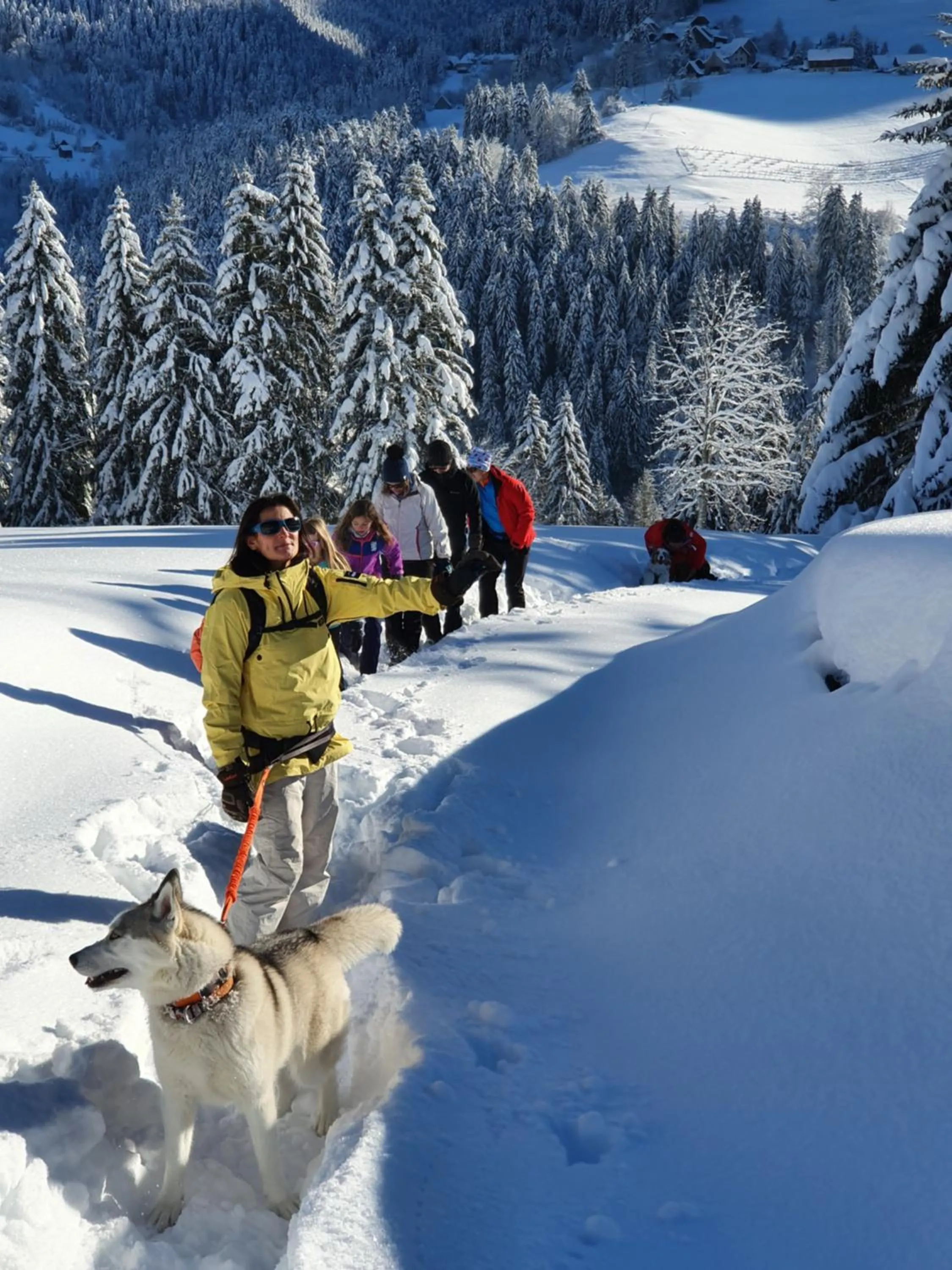Winter in Le Valombré