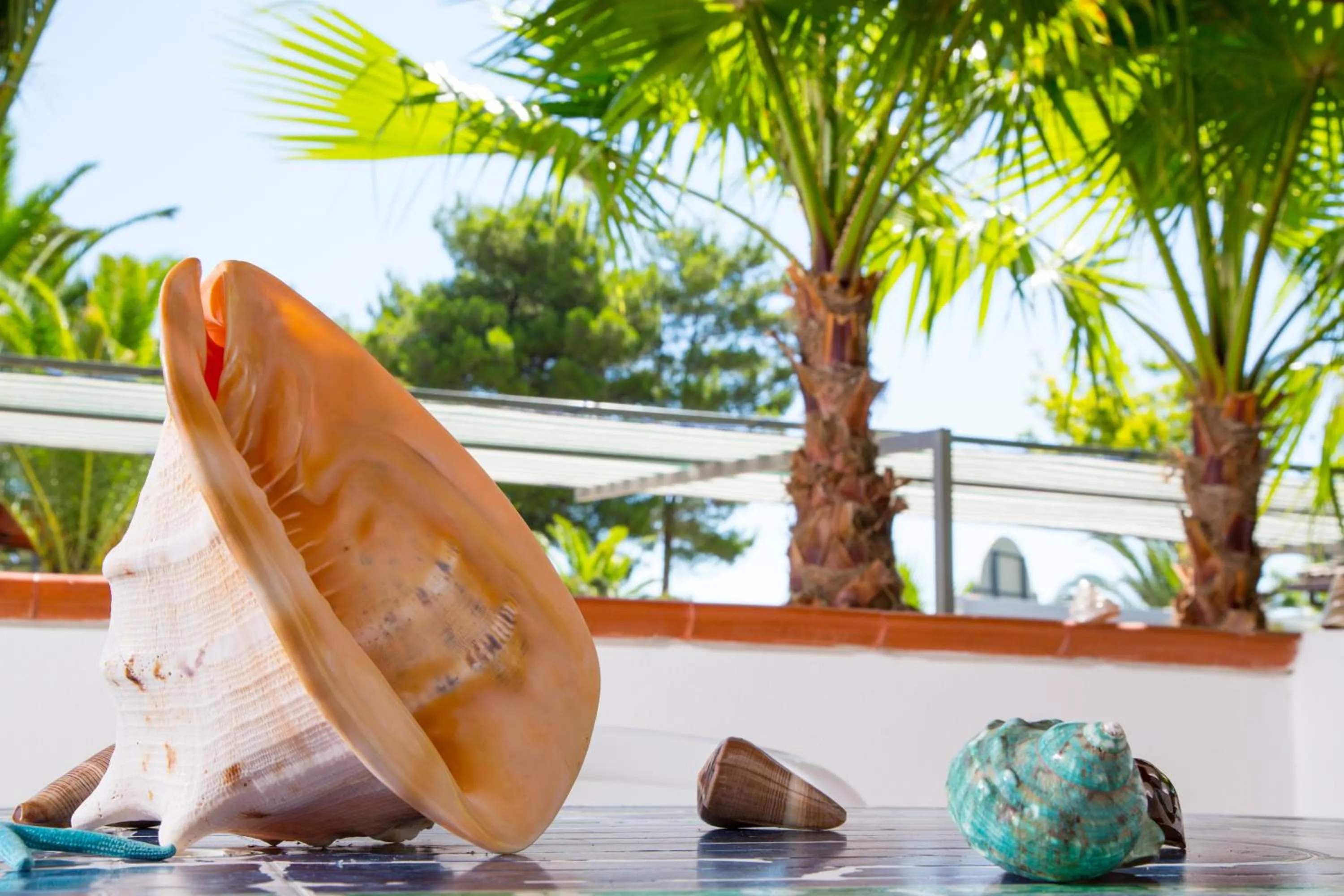 Decorative detail in Residence La Conchiglia