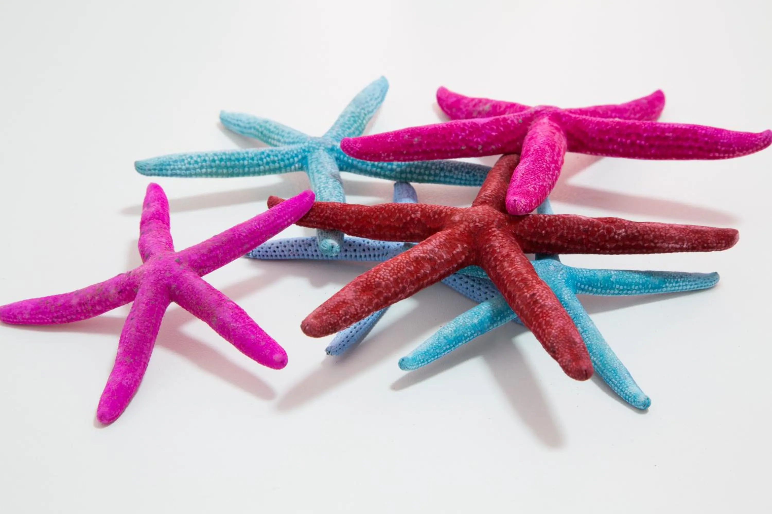 Residence La Conchiglia