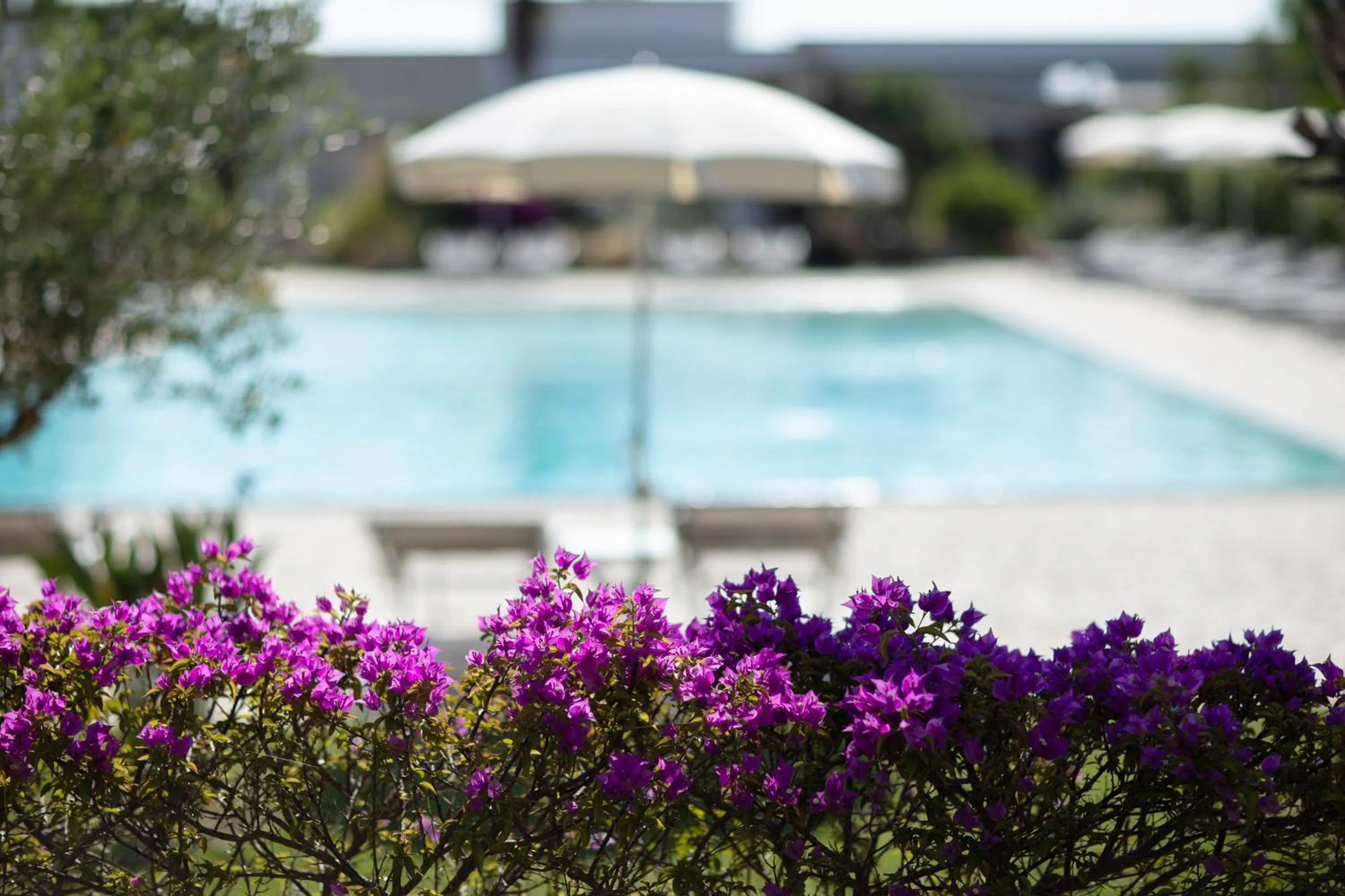 Swimming pool in Borgo Mulino a Vento - Resort