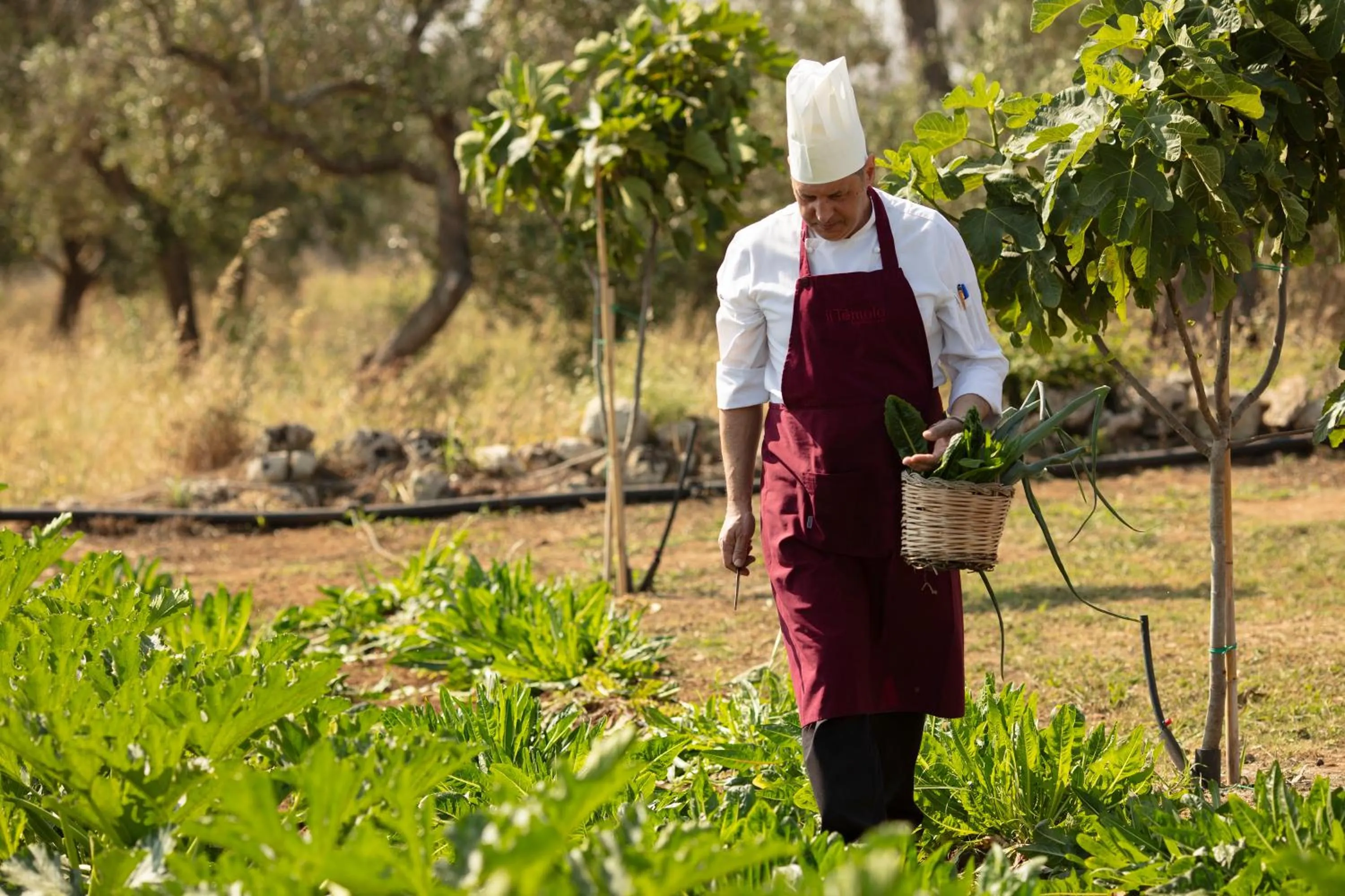 Restaurant/places to eat in Borgo Mulino a Vento - Resort