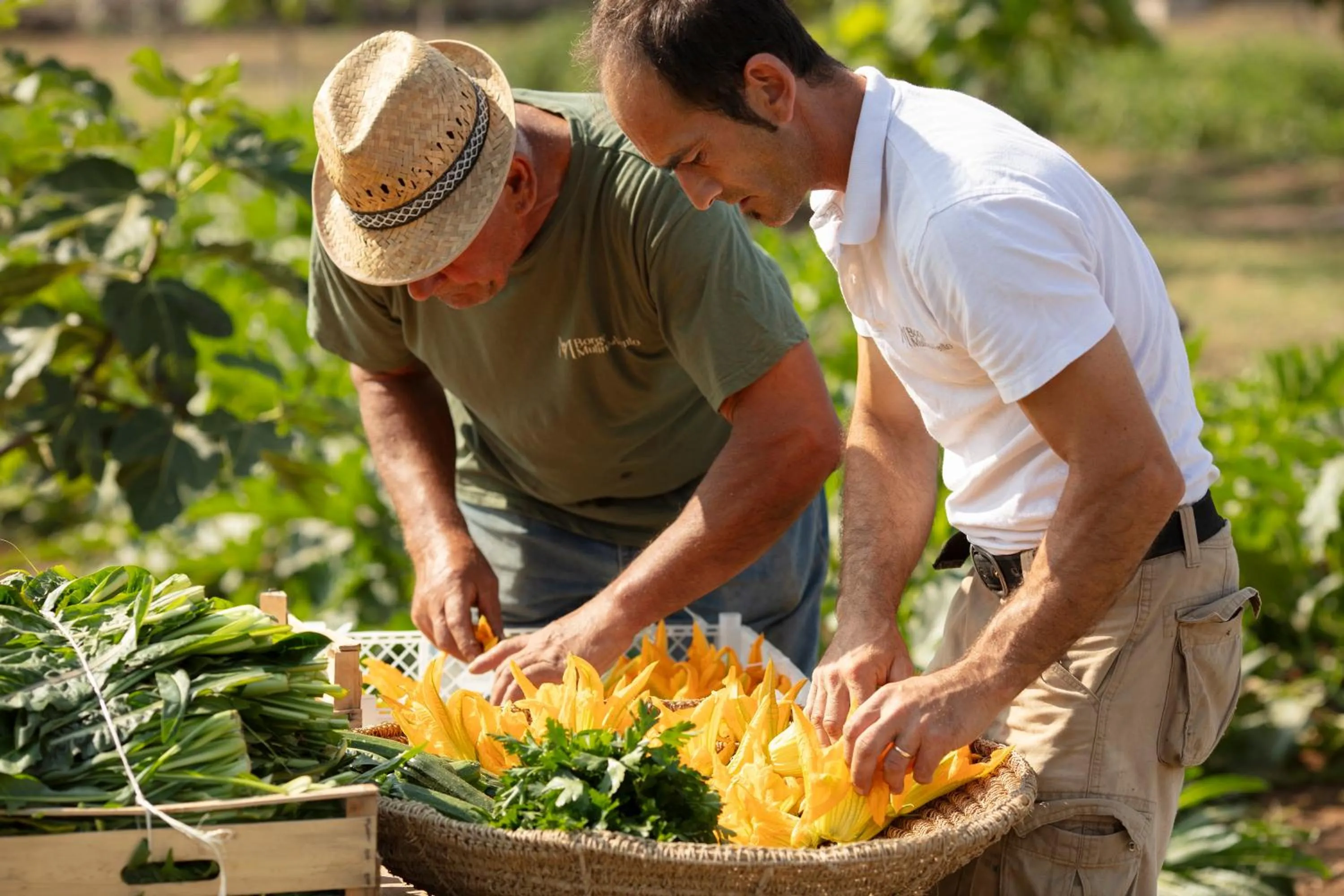 Restaurant/places to eat in Borgo Mulino a Vento - Resort