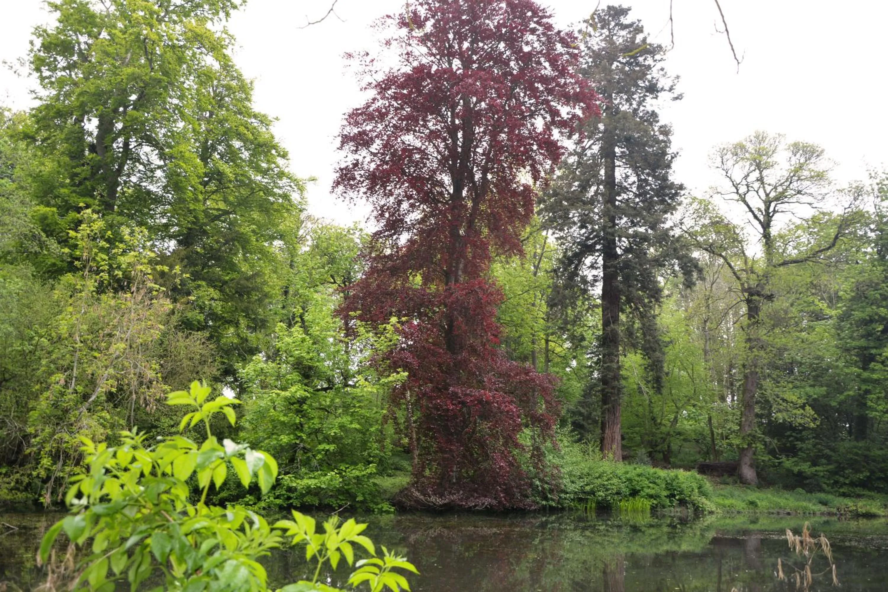 Nearby landmark in Ashlea Guest House