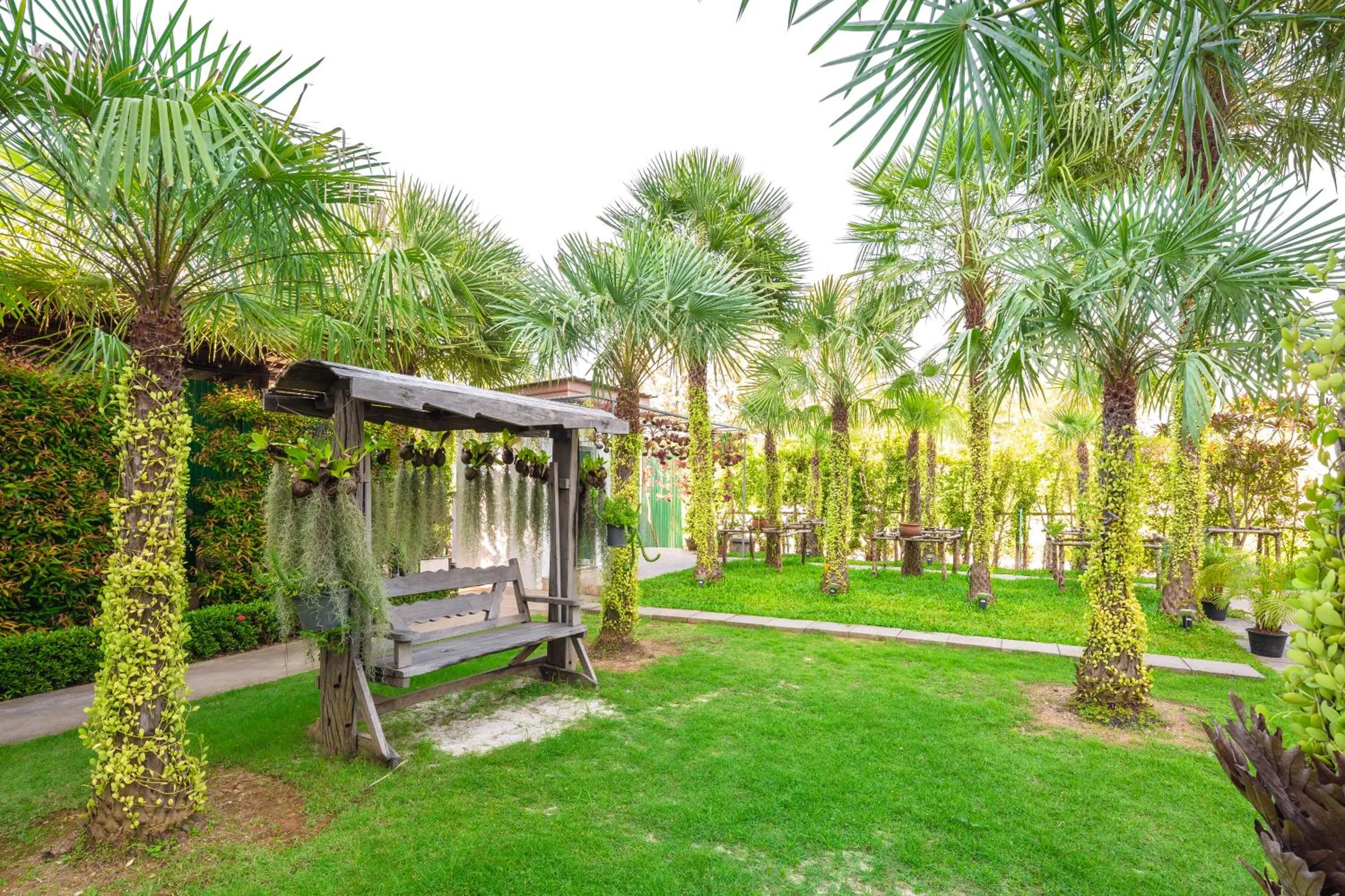 Garden in Sungthong Kamala Beach Resort