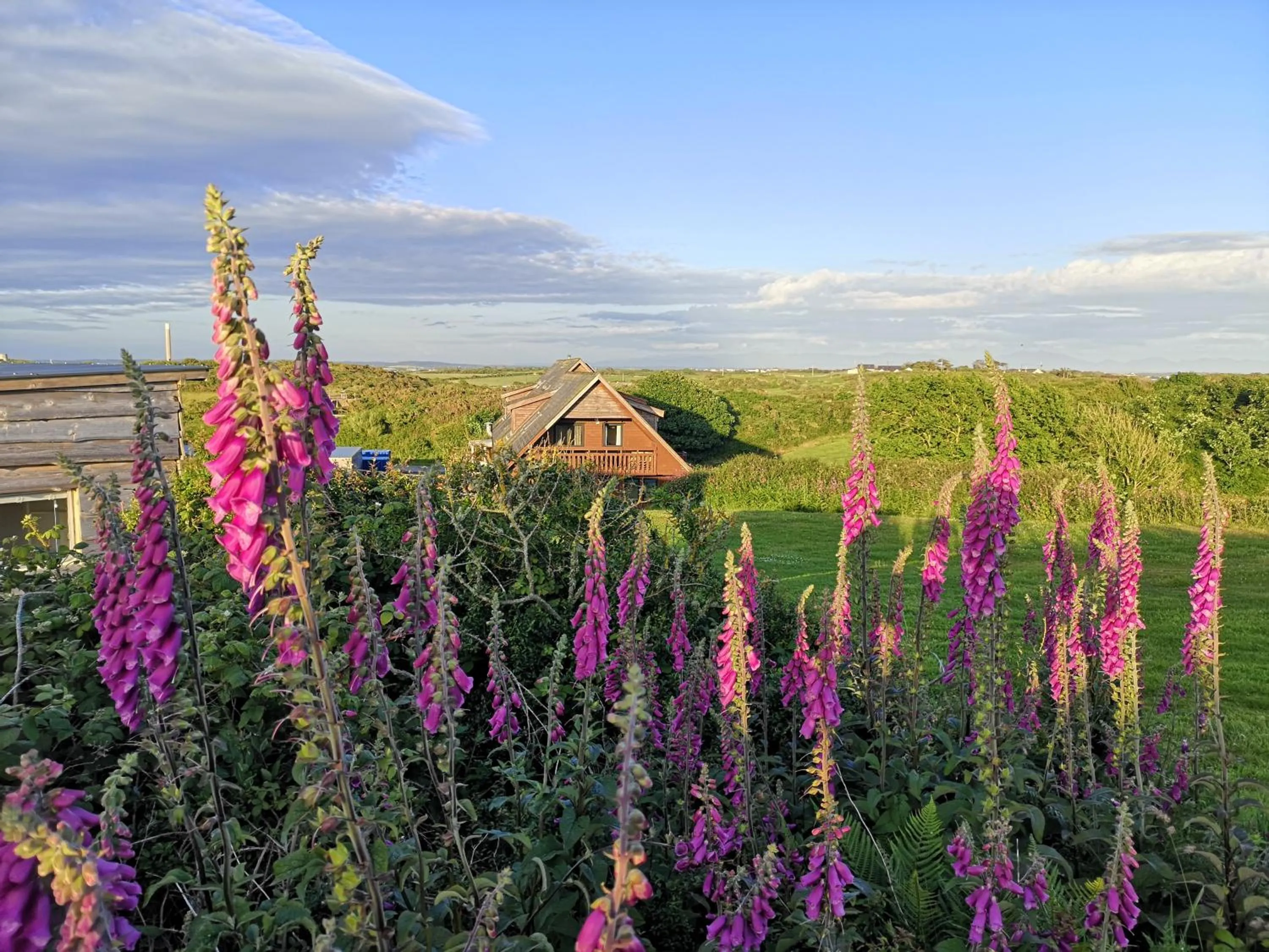 Property building in Anglesey Outdoors