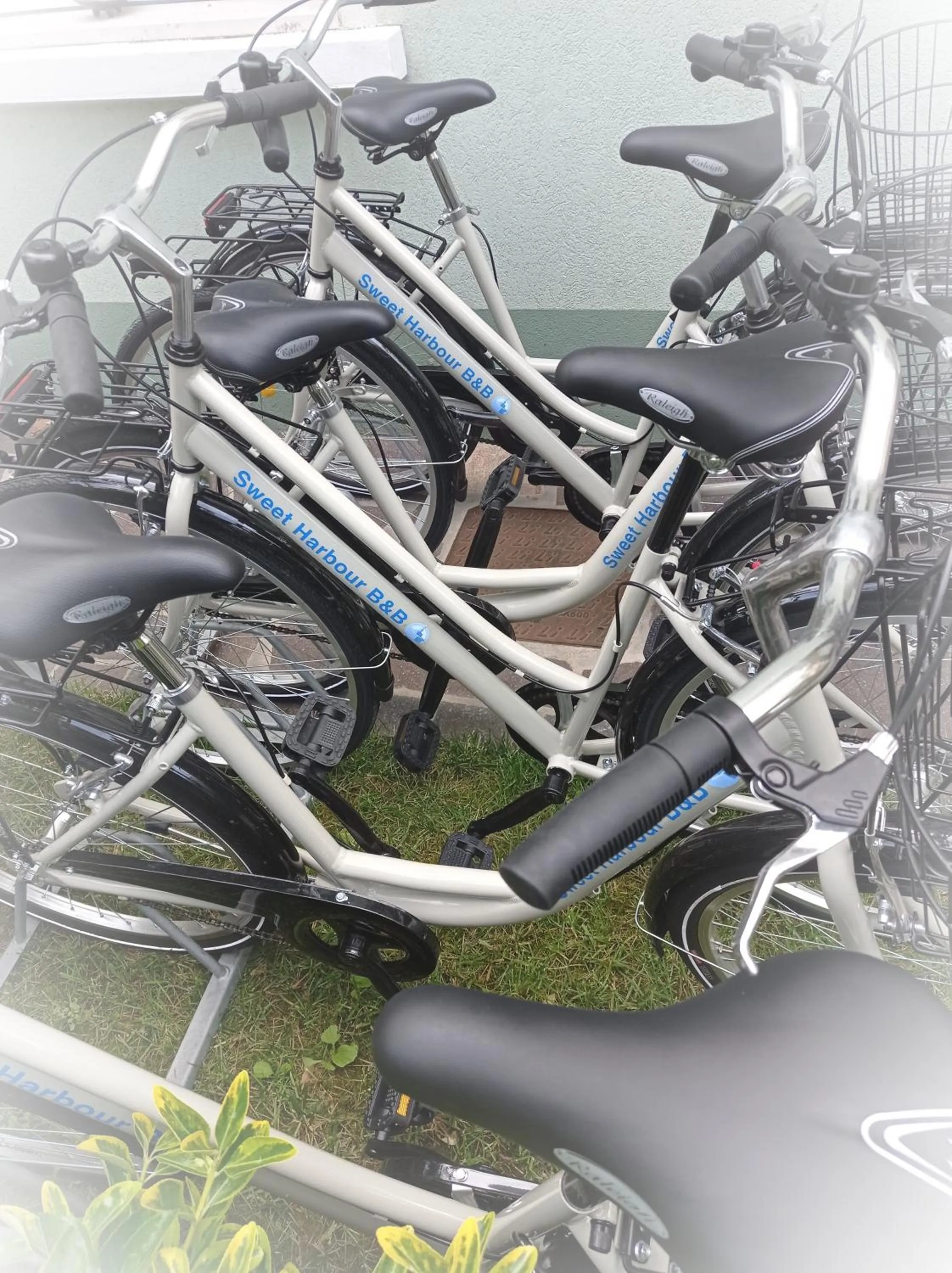 Garden in Sweet Harbour PORTO - Affittacamere