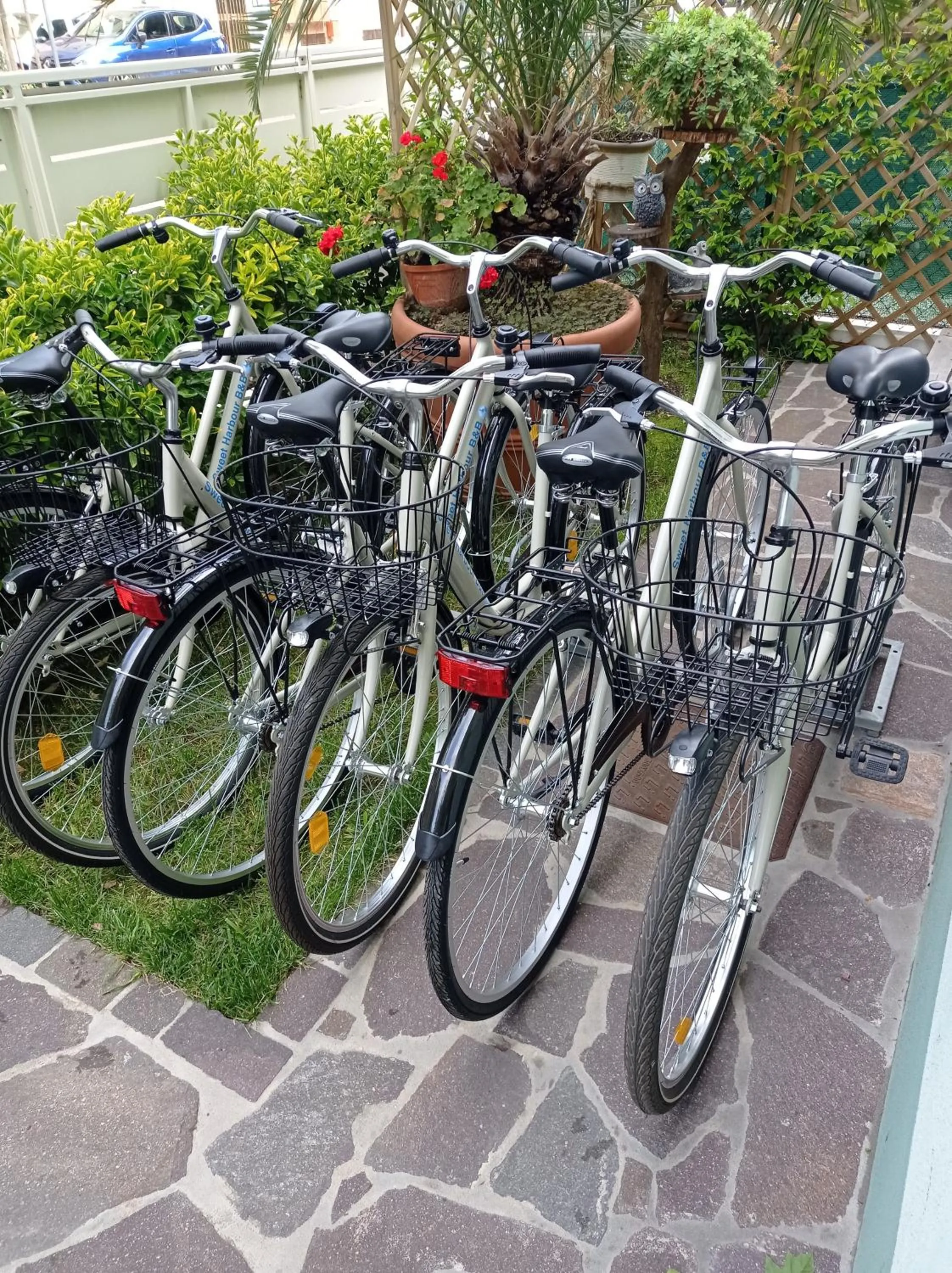 Garden in Sweet Harbour PORTO - Affittacamere