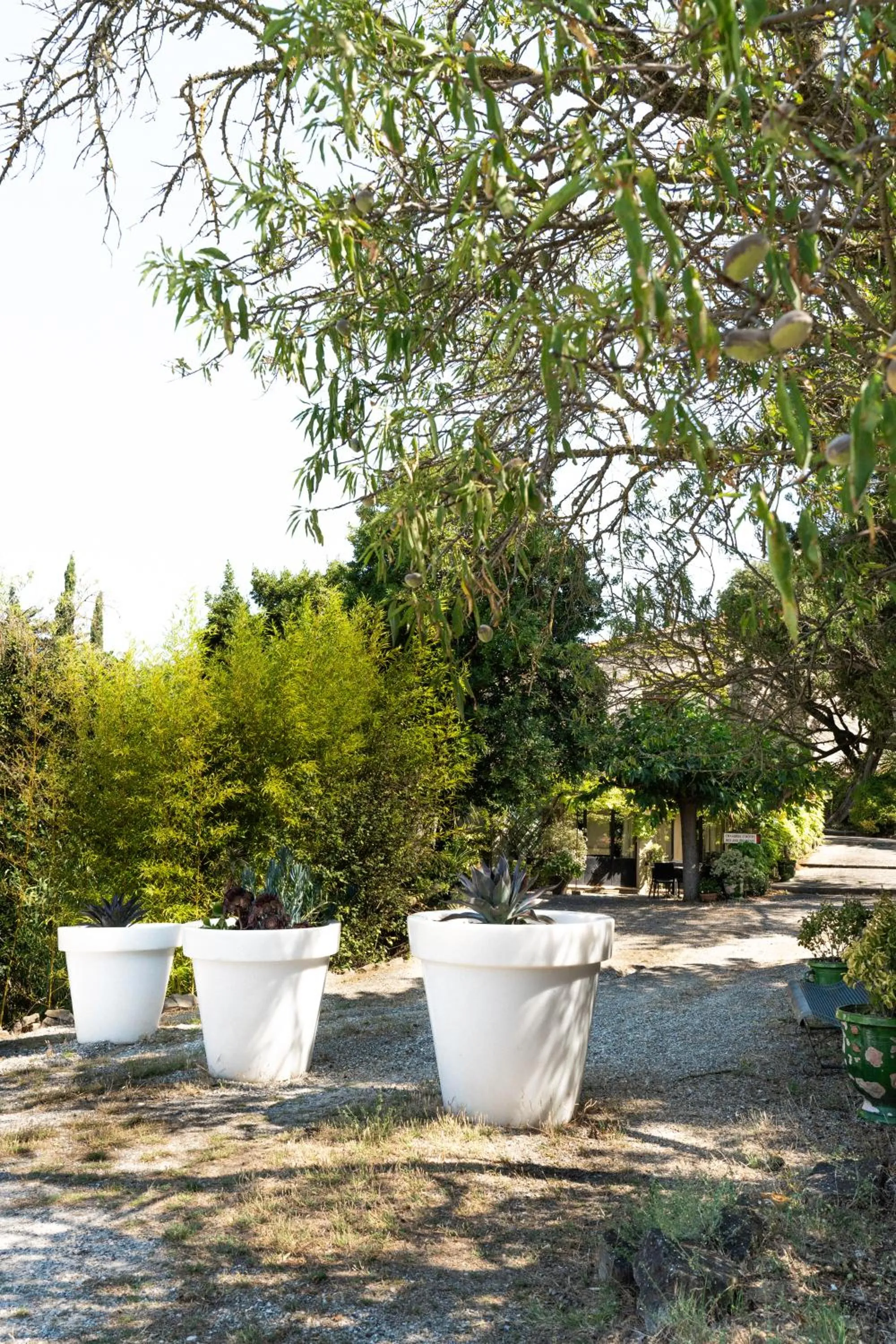 Garden in La Maison sur la Colline